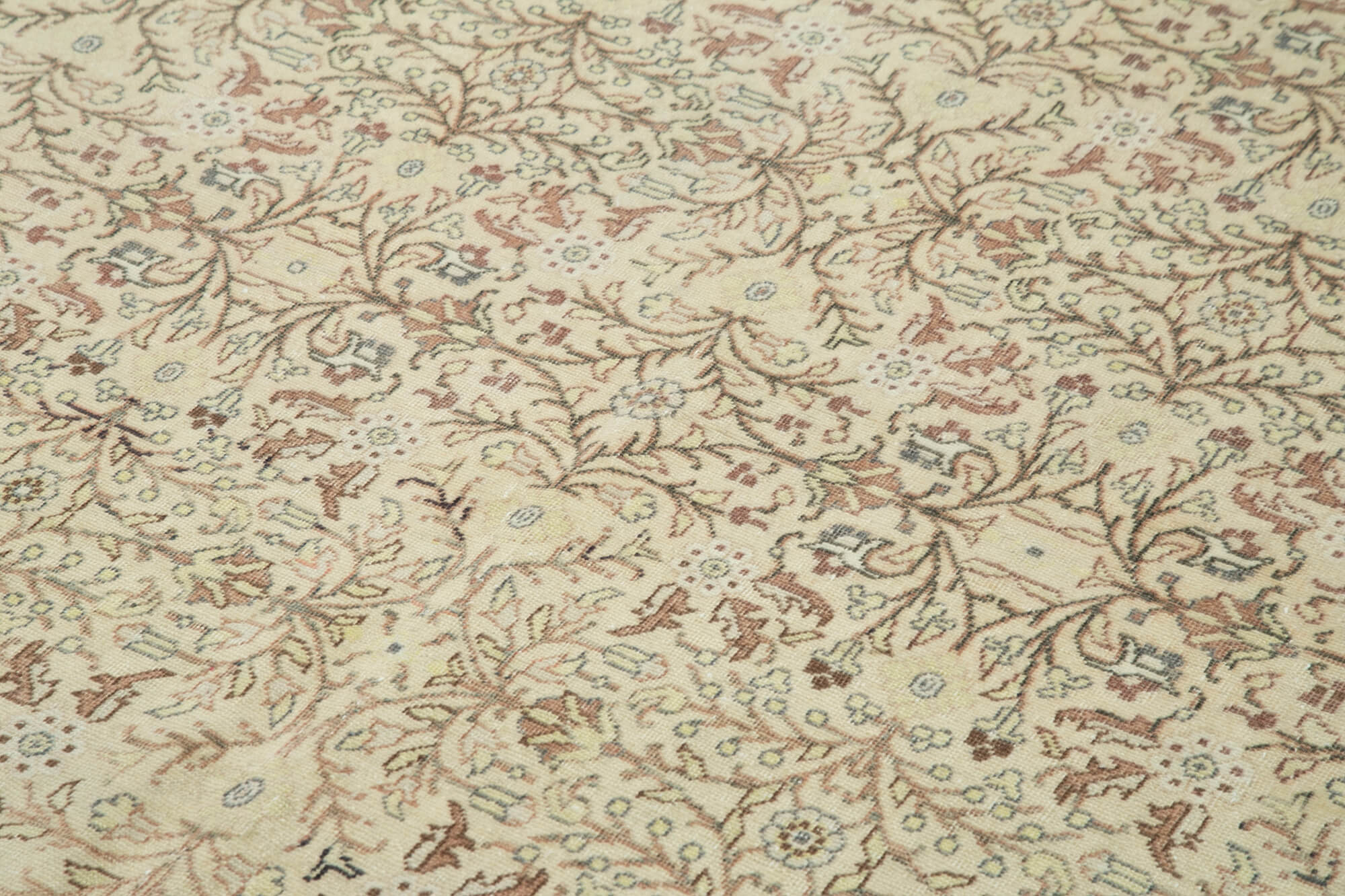 Ivory Kayseri — 1.95 x 2.85