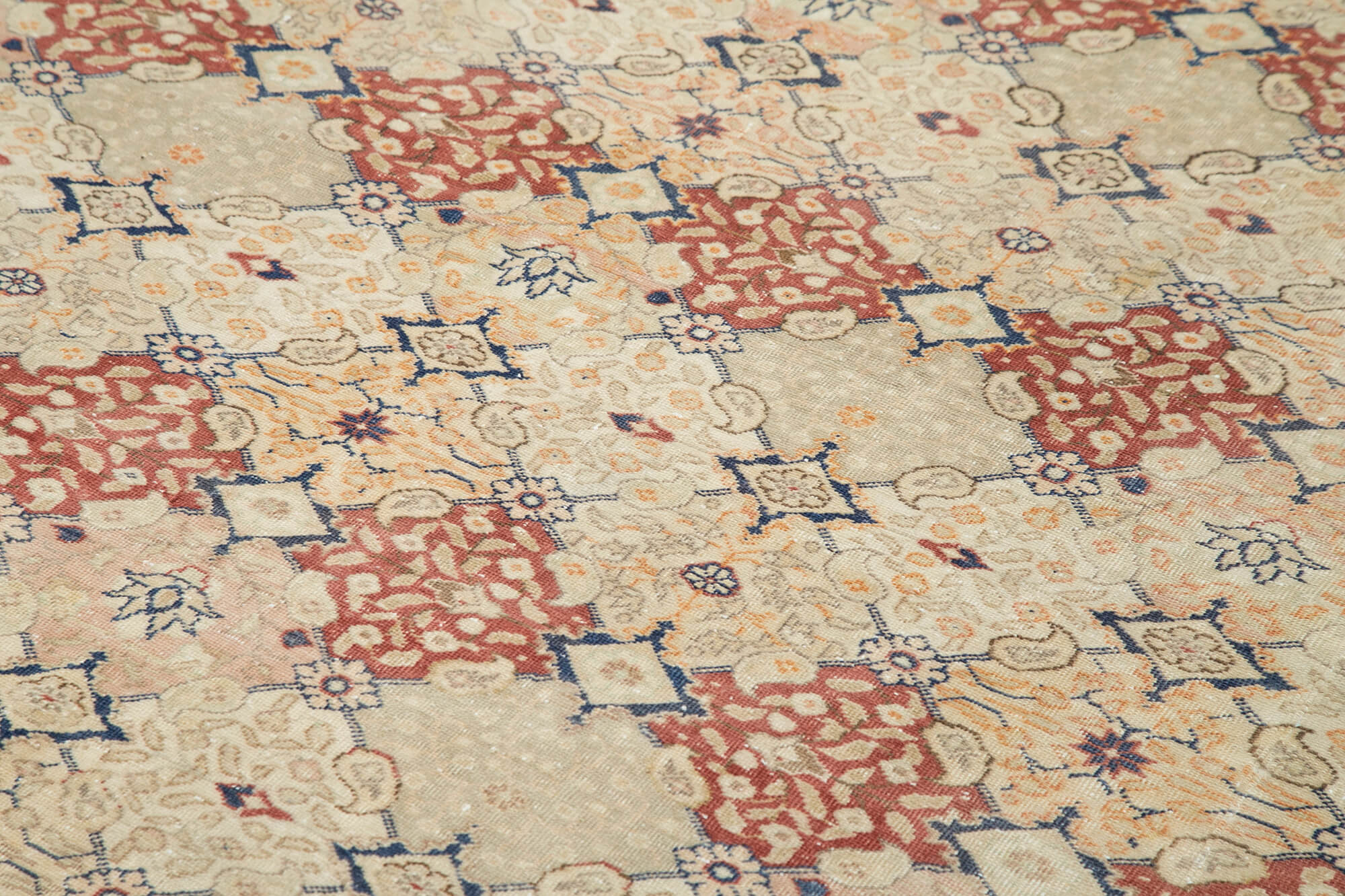 Champagne Kayseri — 2.56 x 3.48