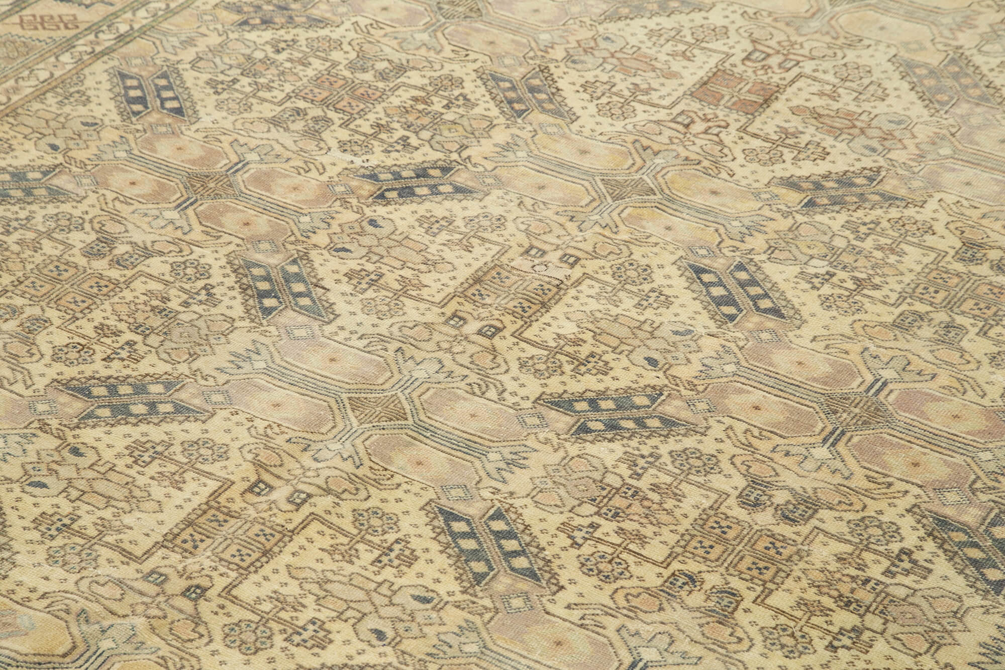 Ivory Kayseri — 1.98 x 2.86