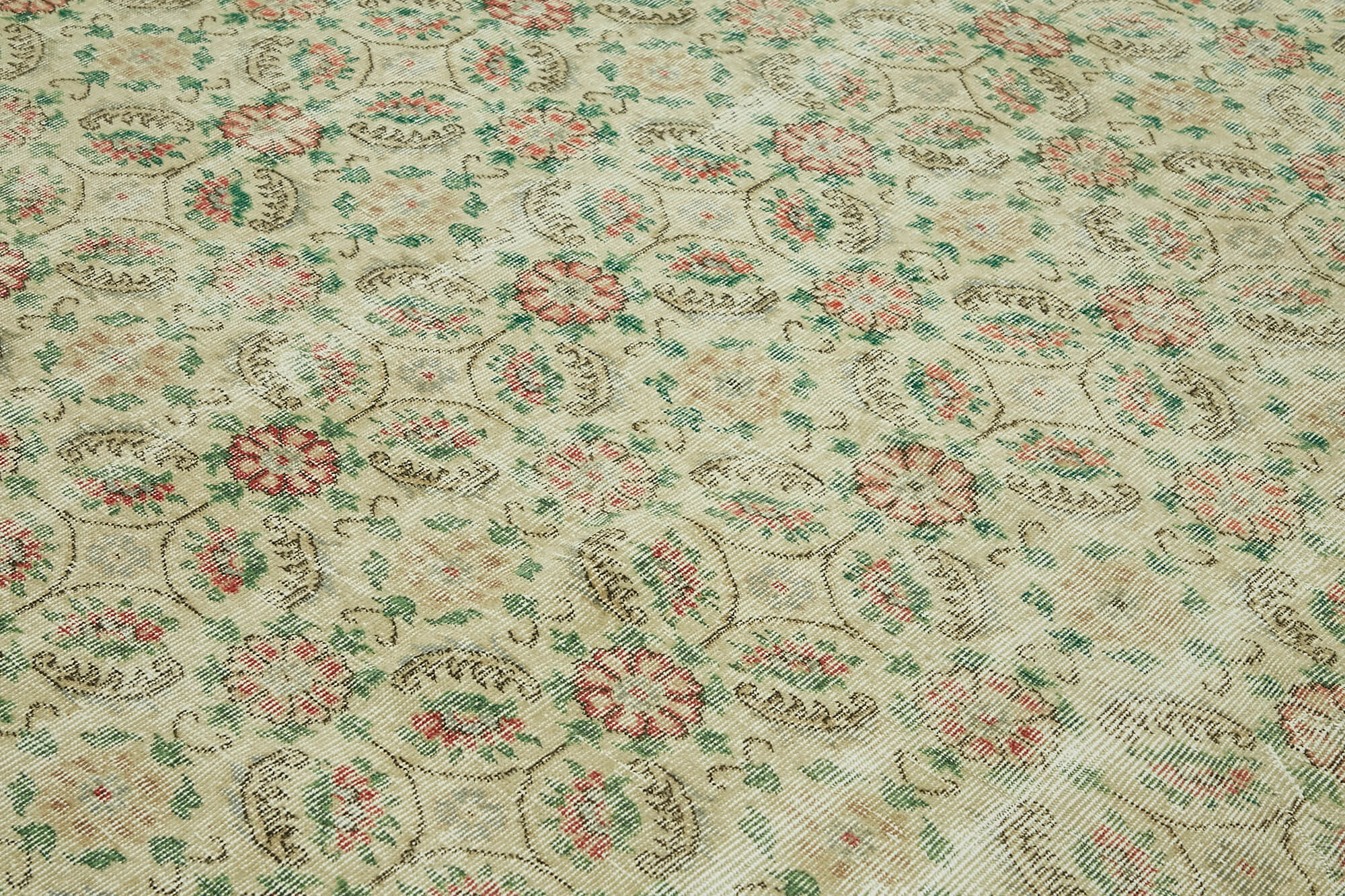 Bisque Persian — 2.40 x 3.56