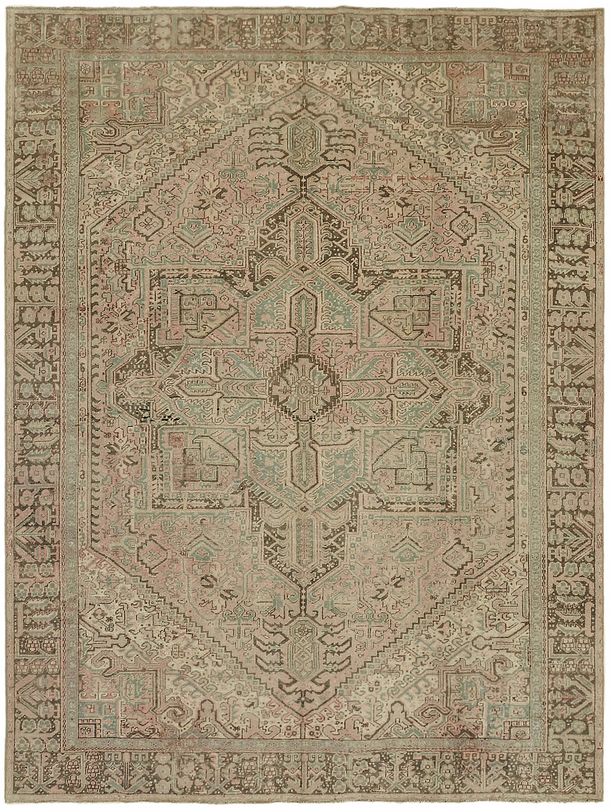 Bisque Persian — 2.57 x 3.38