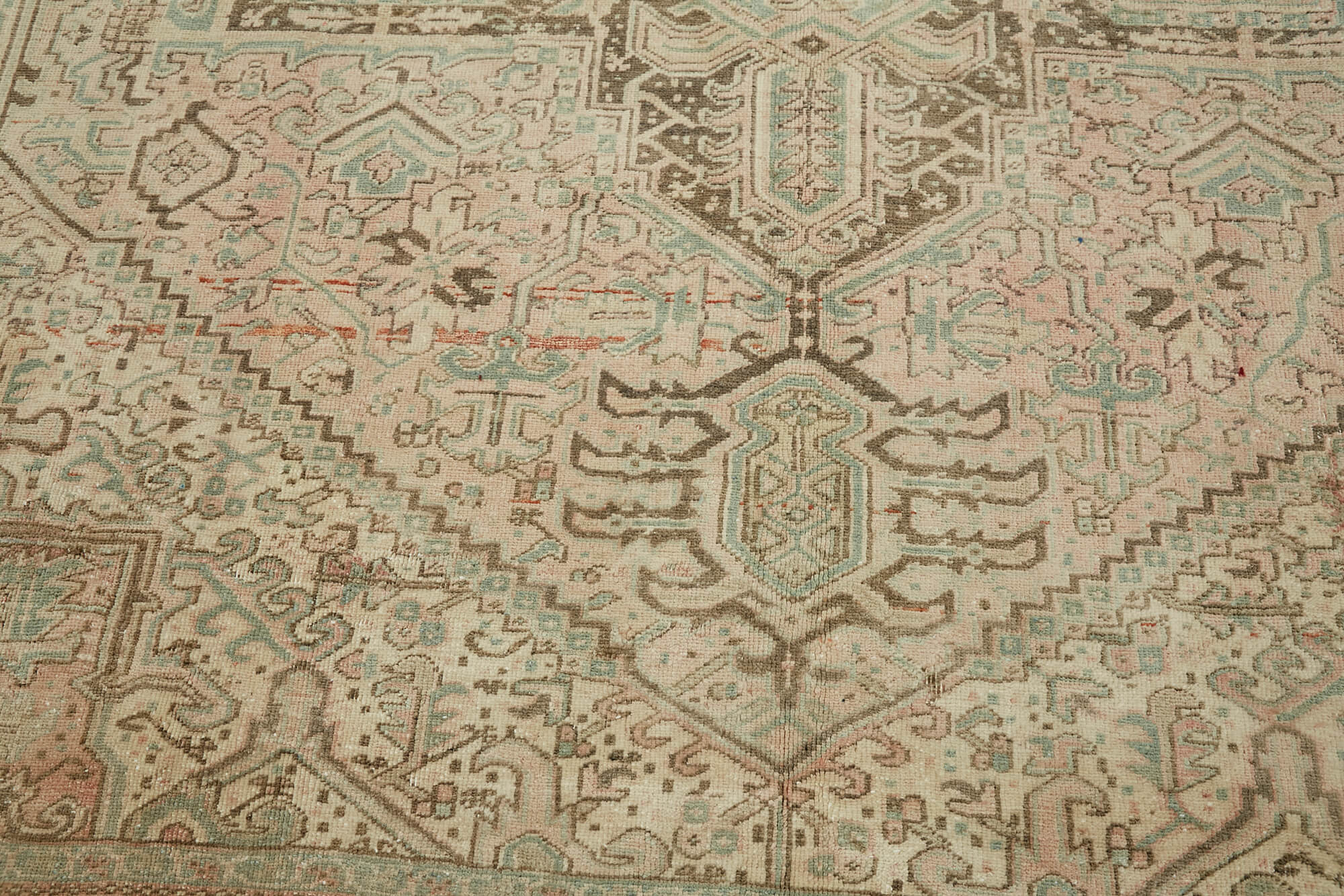 Bisque Persian — 2.57 x 3.38
