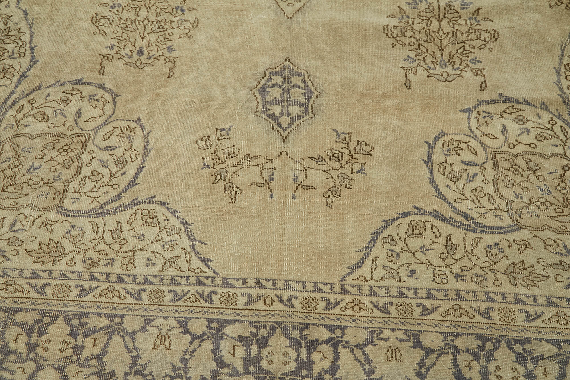 Alabaster Persian — 2.50 x 3.64