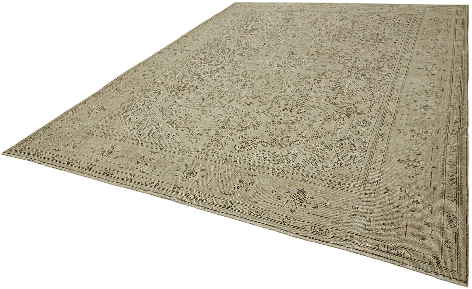 Ivory Persian — 2.90 x 3.85