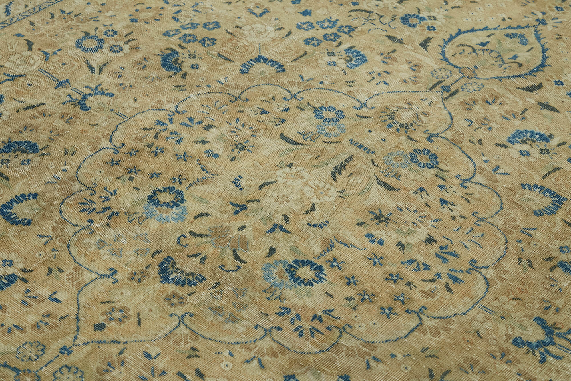 Champagne Persian — 2.55 x 3.68
