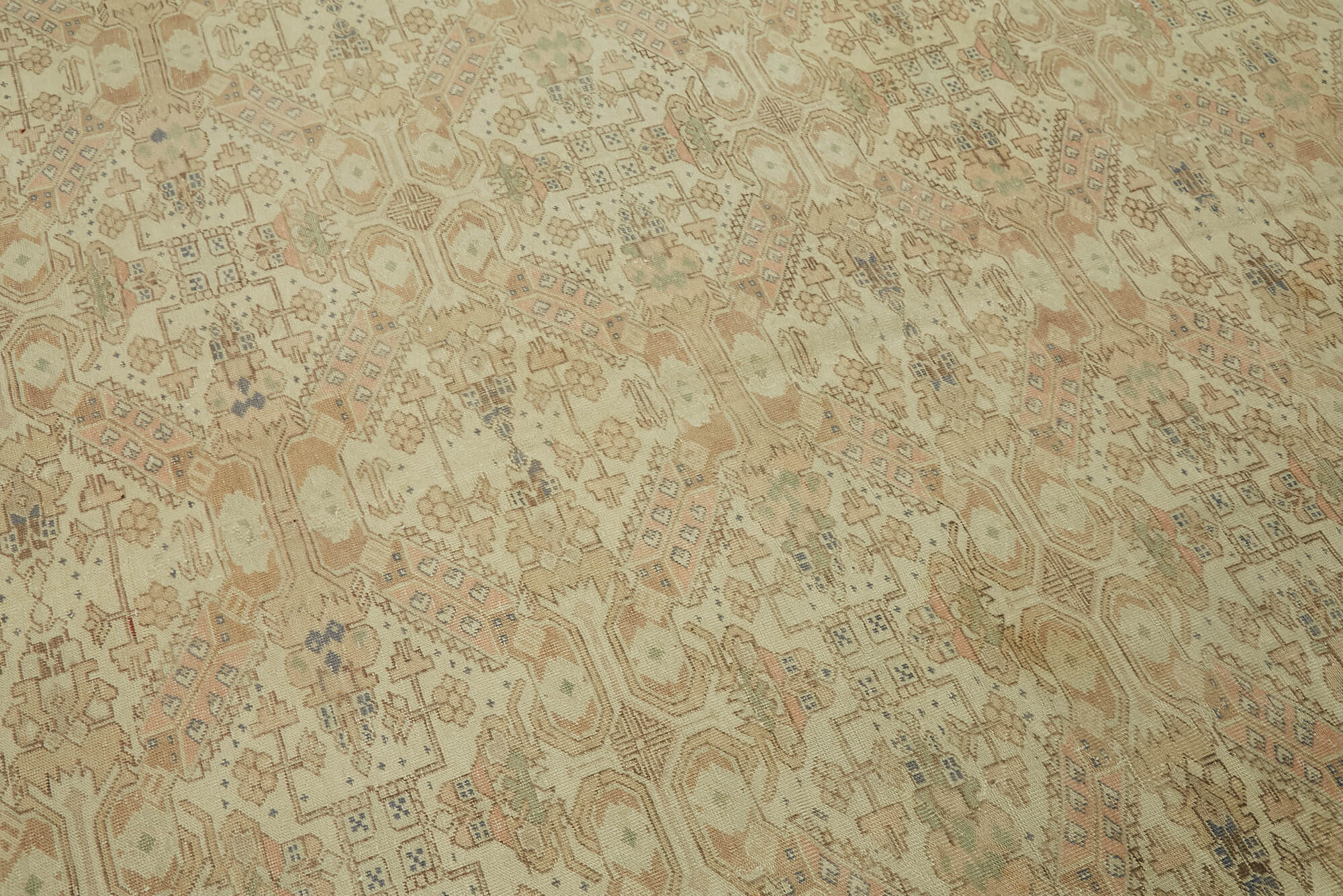 Bisque Persian — 3.20 x 4.36