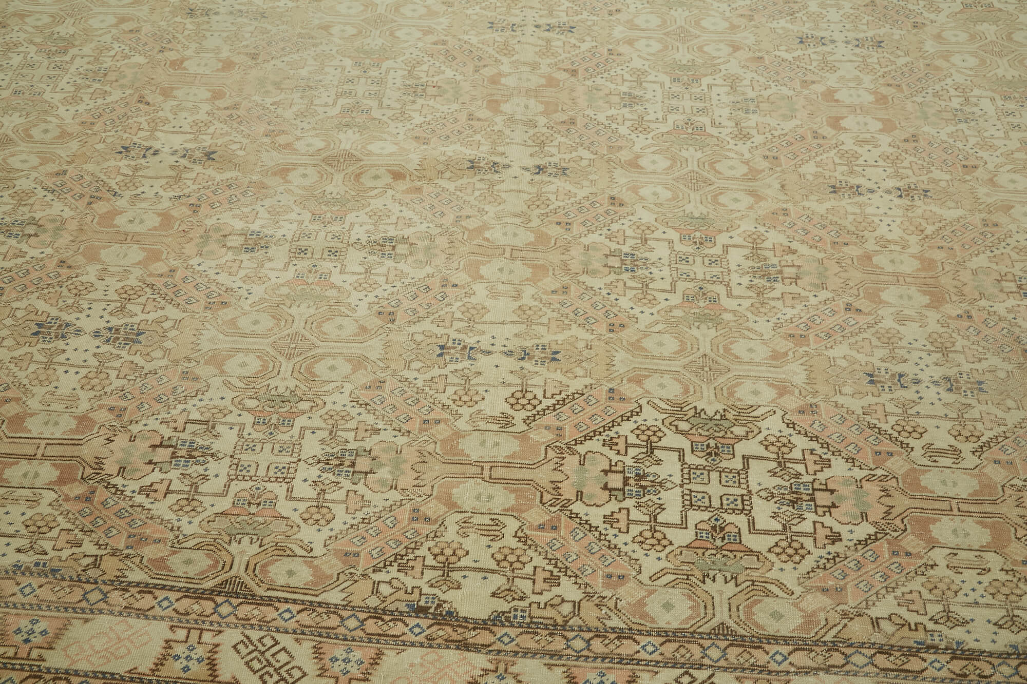 Bisque Persian — 3.20 x 4.36