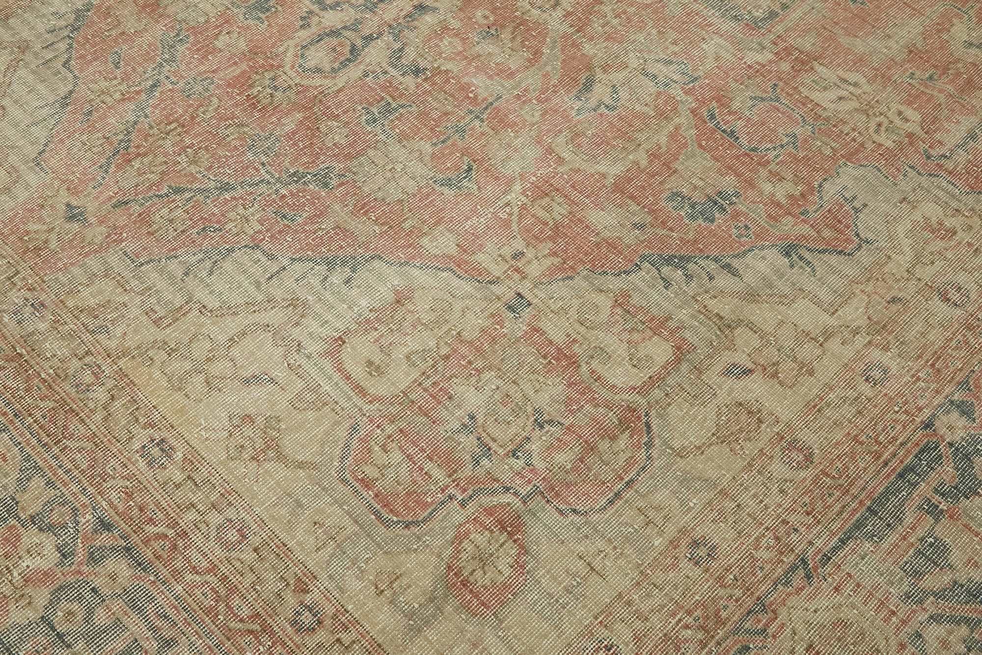 Ivory Persian — 2.67 x 3.90