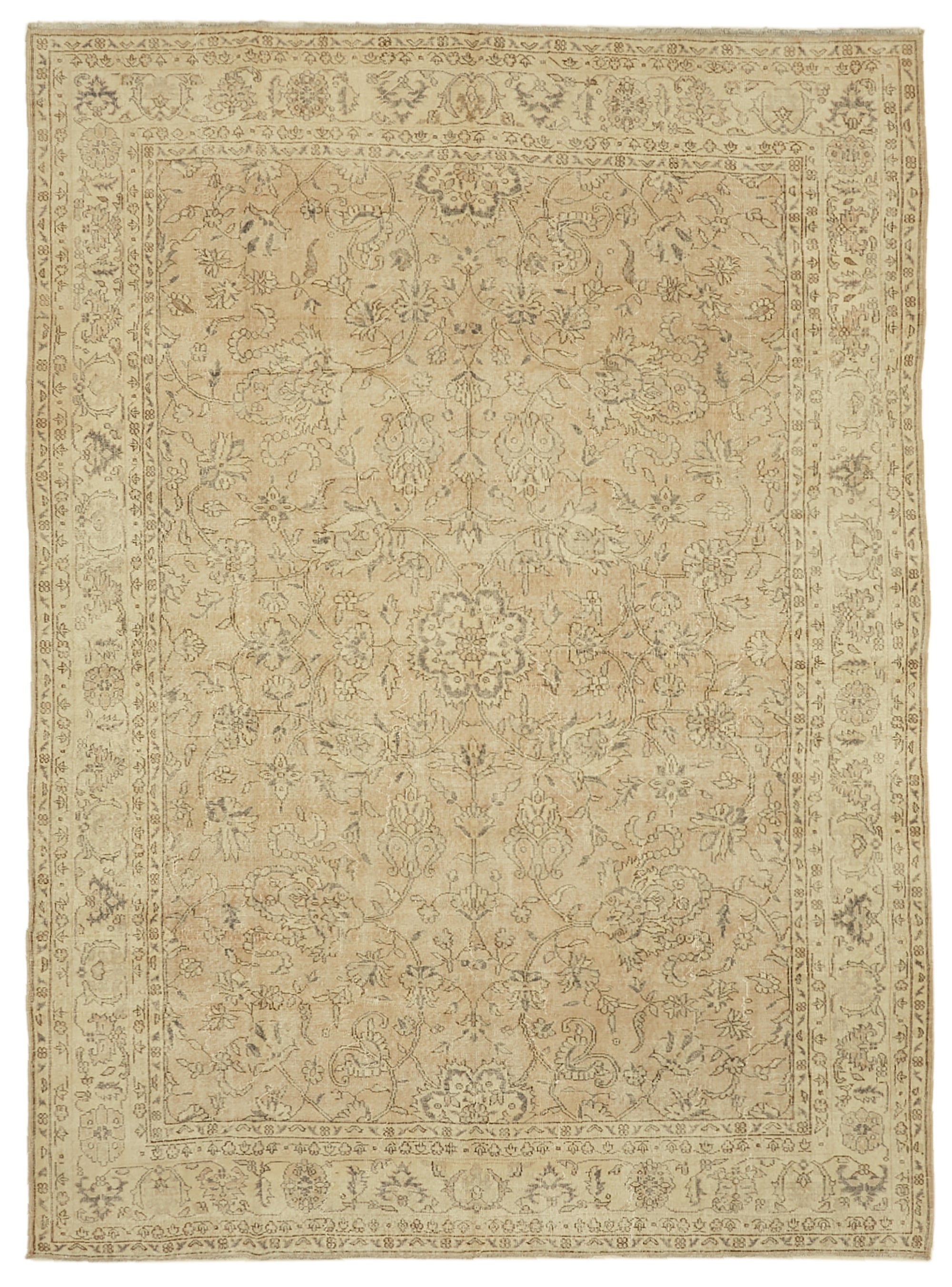 Champagne Persian — 2.41 x 3.32