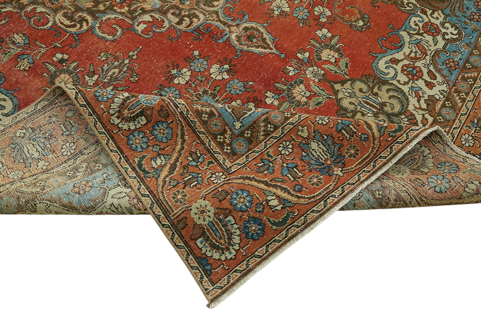 Champagne Persian — 2.54 x 3.82