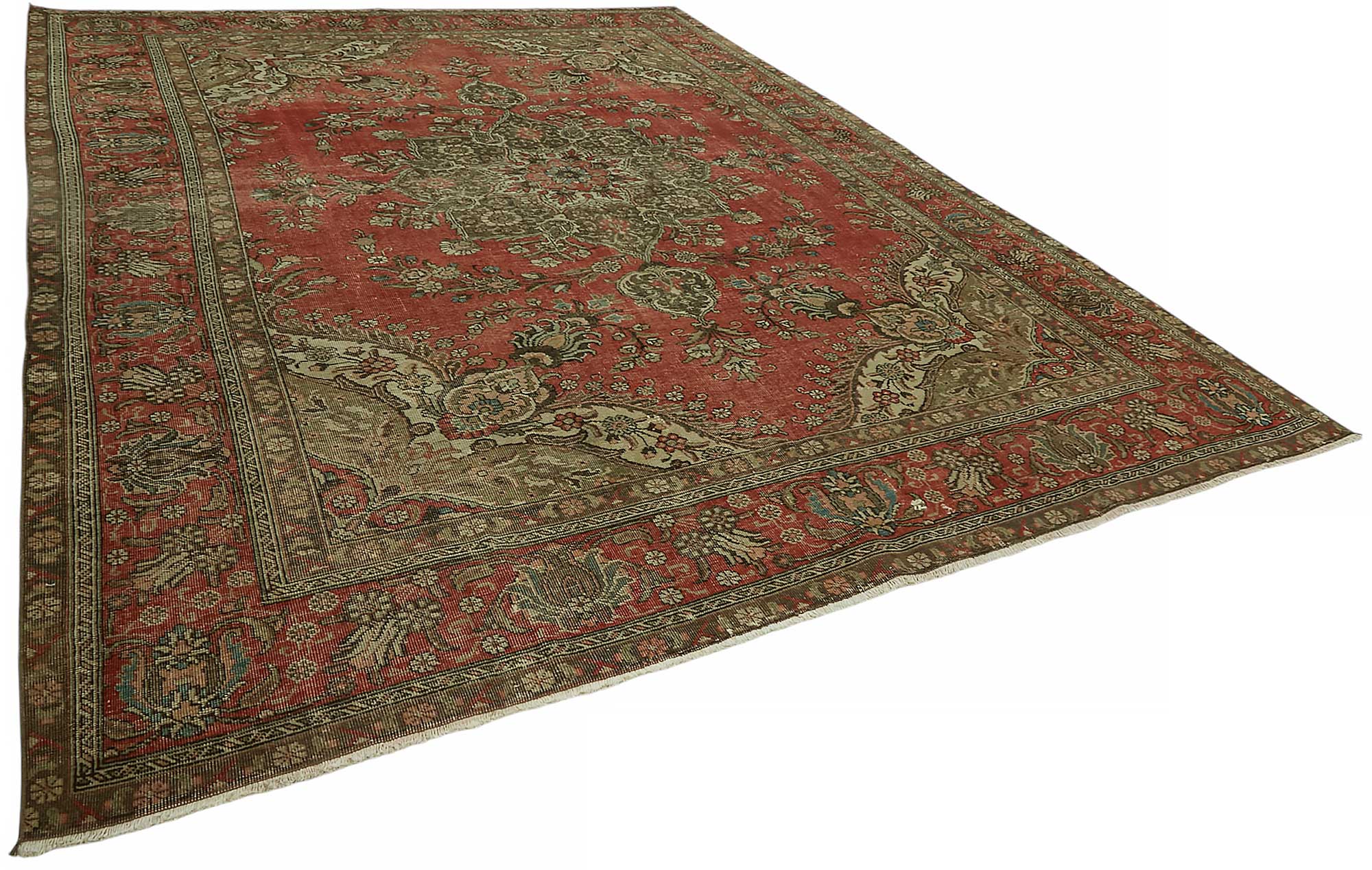 Champagne Persian — 3.07 x 4.12