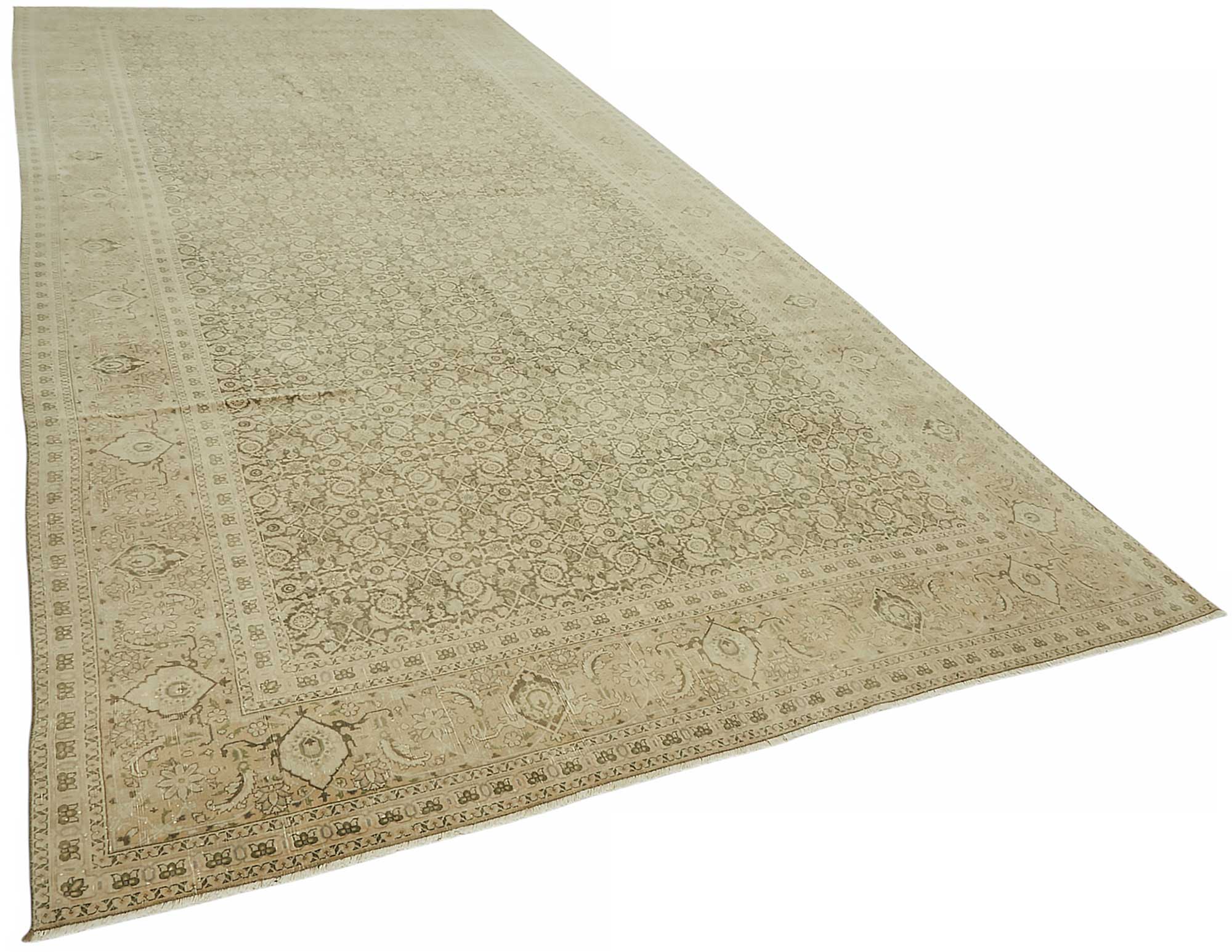 Bisque Persian — 2.40 x 5.16