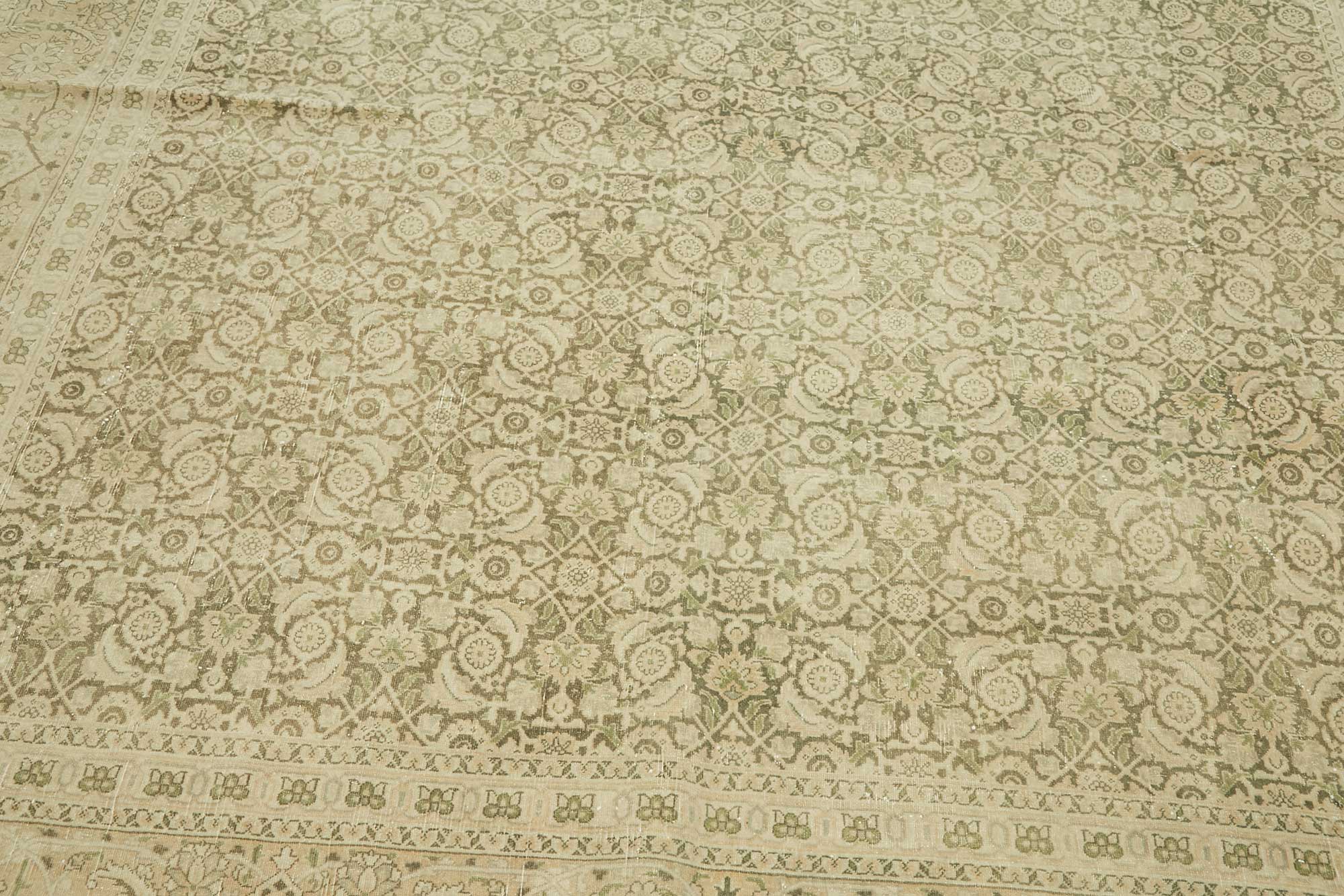 Bisque Persian — 2.40 x 5.16