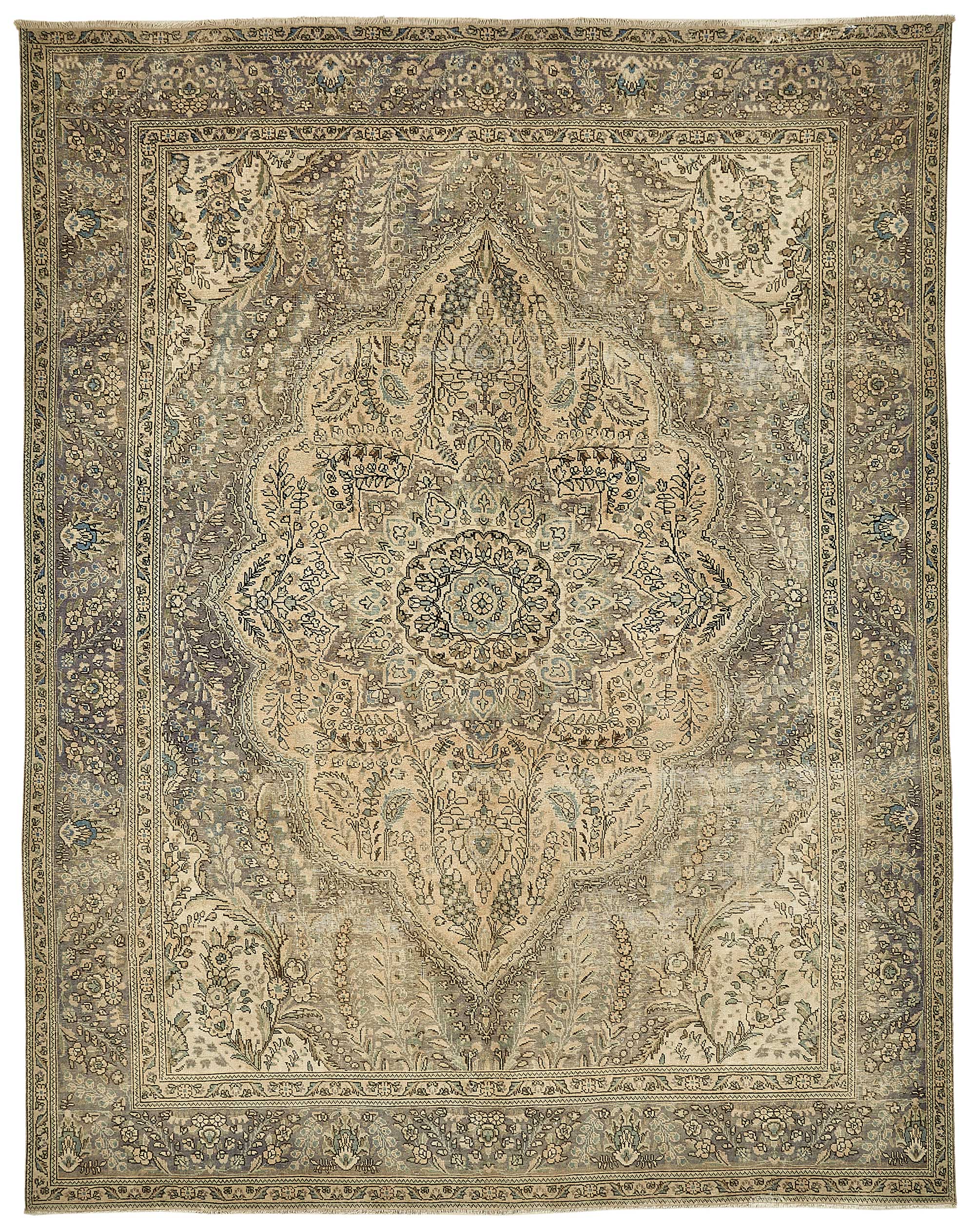 Bisque Persian — 2.97 x 3.74