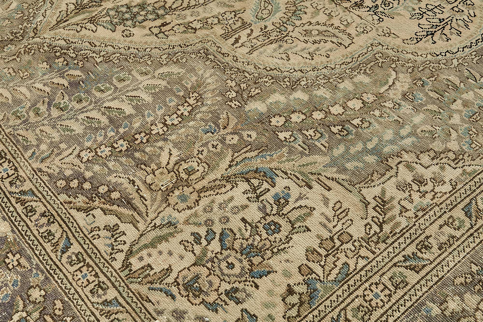 Bisque Persian — 2.97 x 3.74