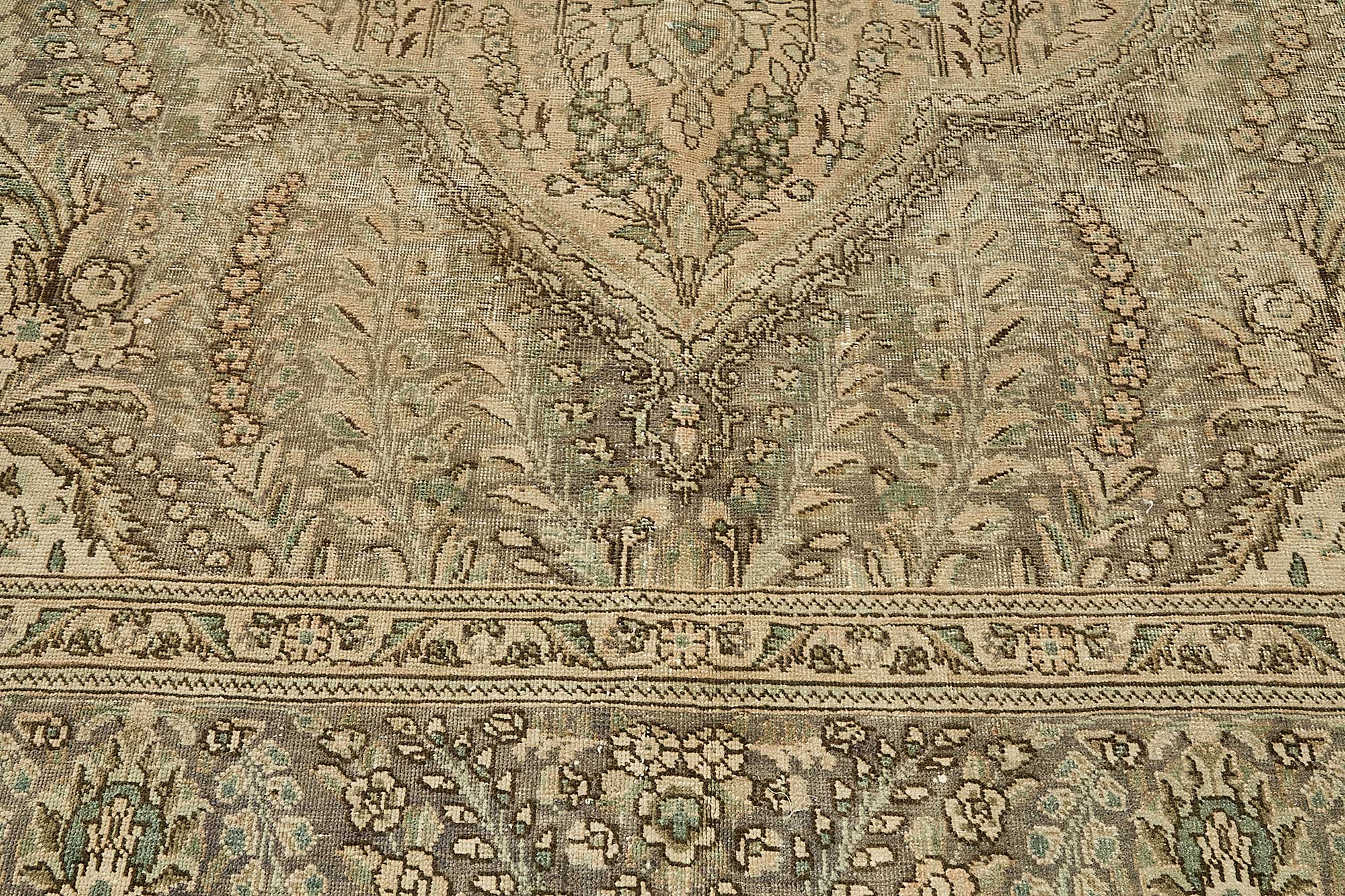 Bisque Persian — 2.97 x 3.74