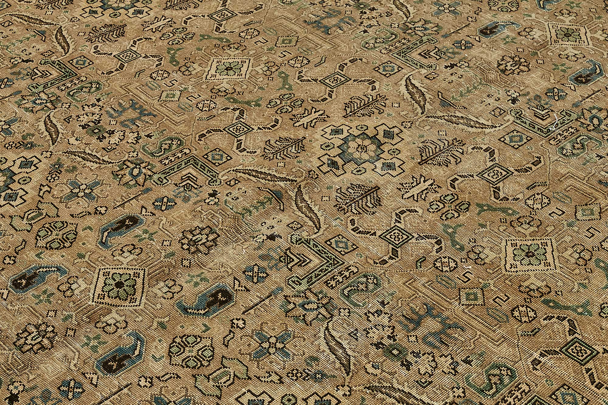 Bisque Persian — 3.04 x 3.96