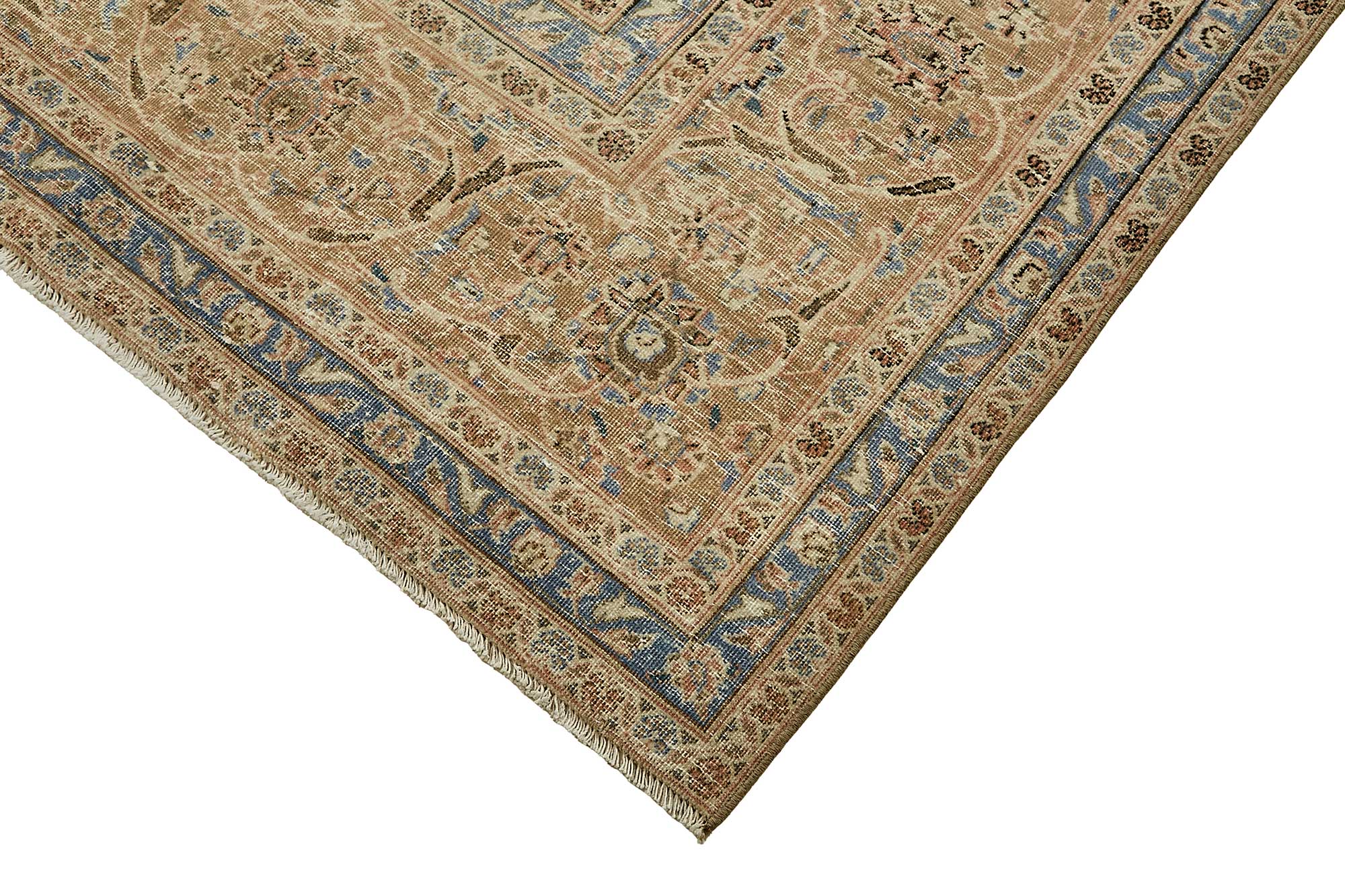 Bisque Persian — 2.87 x 3.91