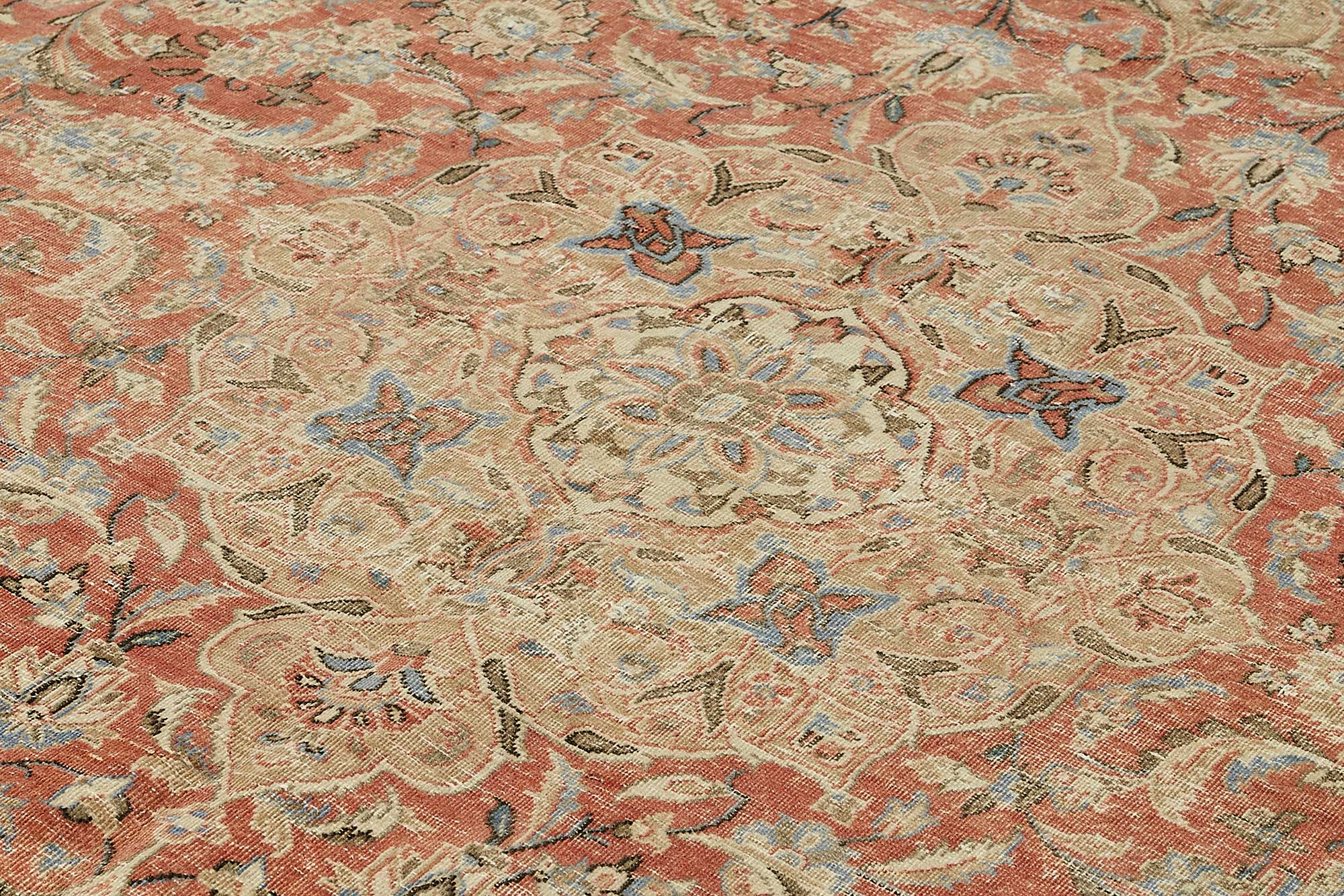 Bisque Persian — 2.87 x 3.91