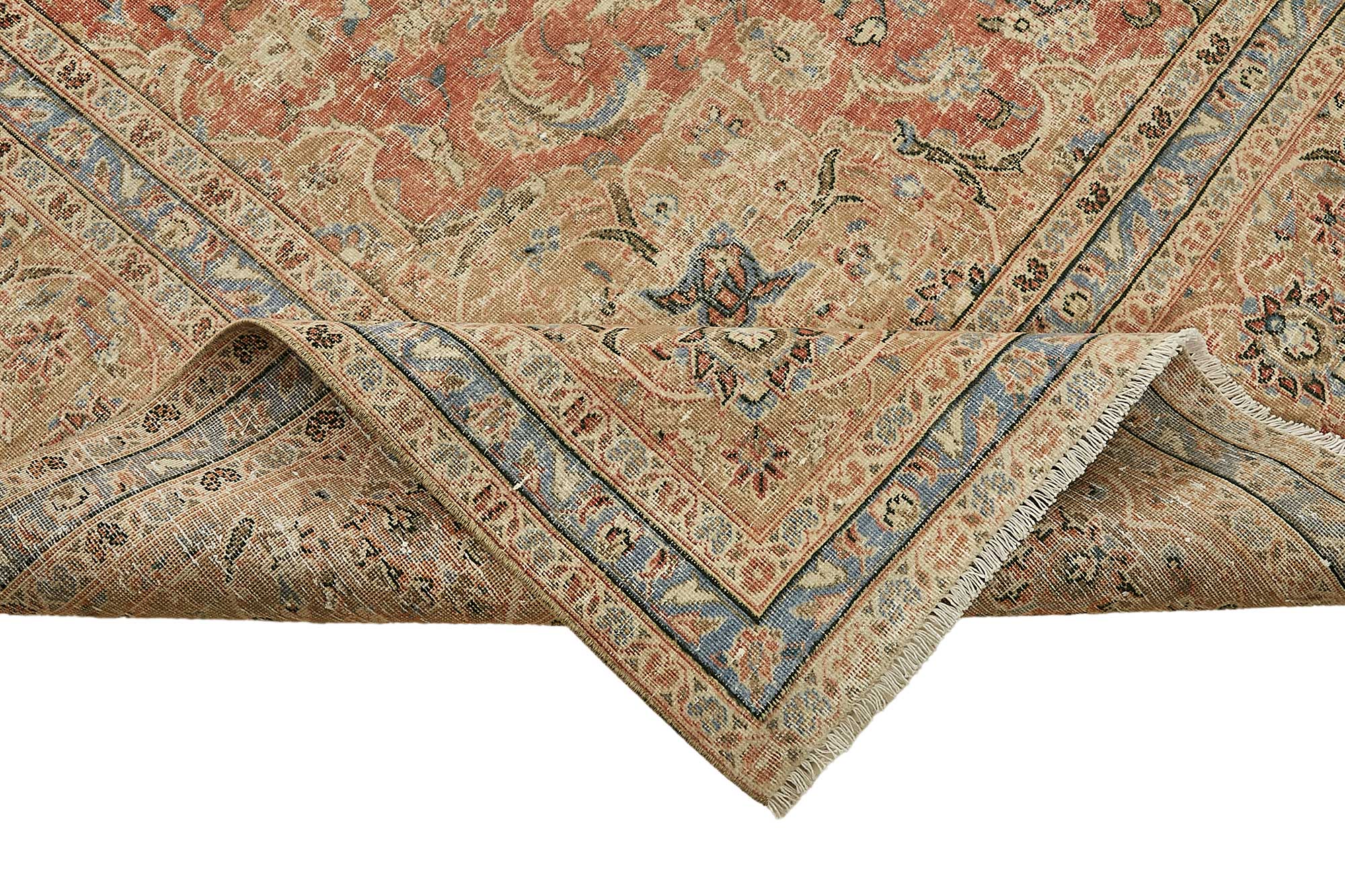 Bisque Persian — 2.87 x 3.91