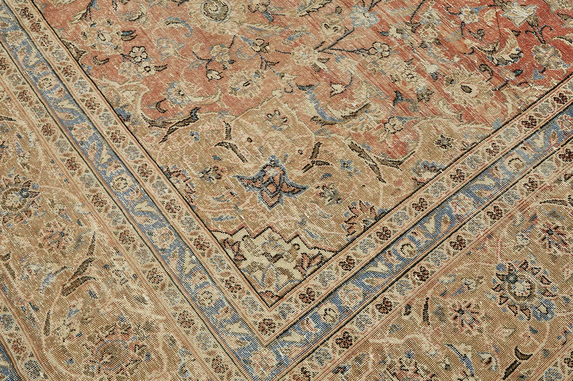 Bisque Persian — 2.87 x 3.91