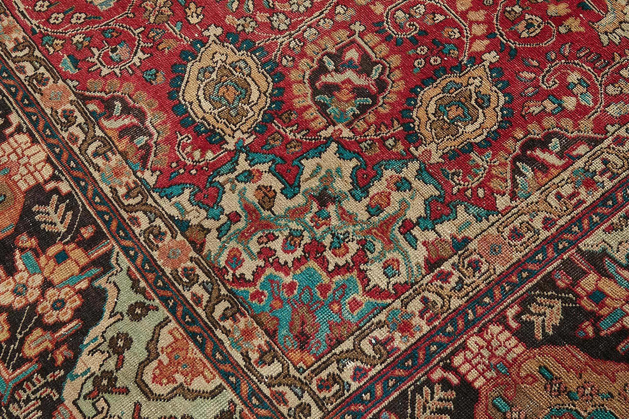 Alabaster Persian — 2.78 x 3.84