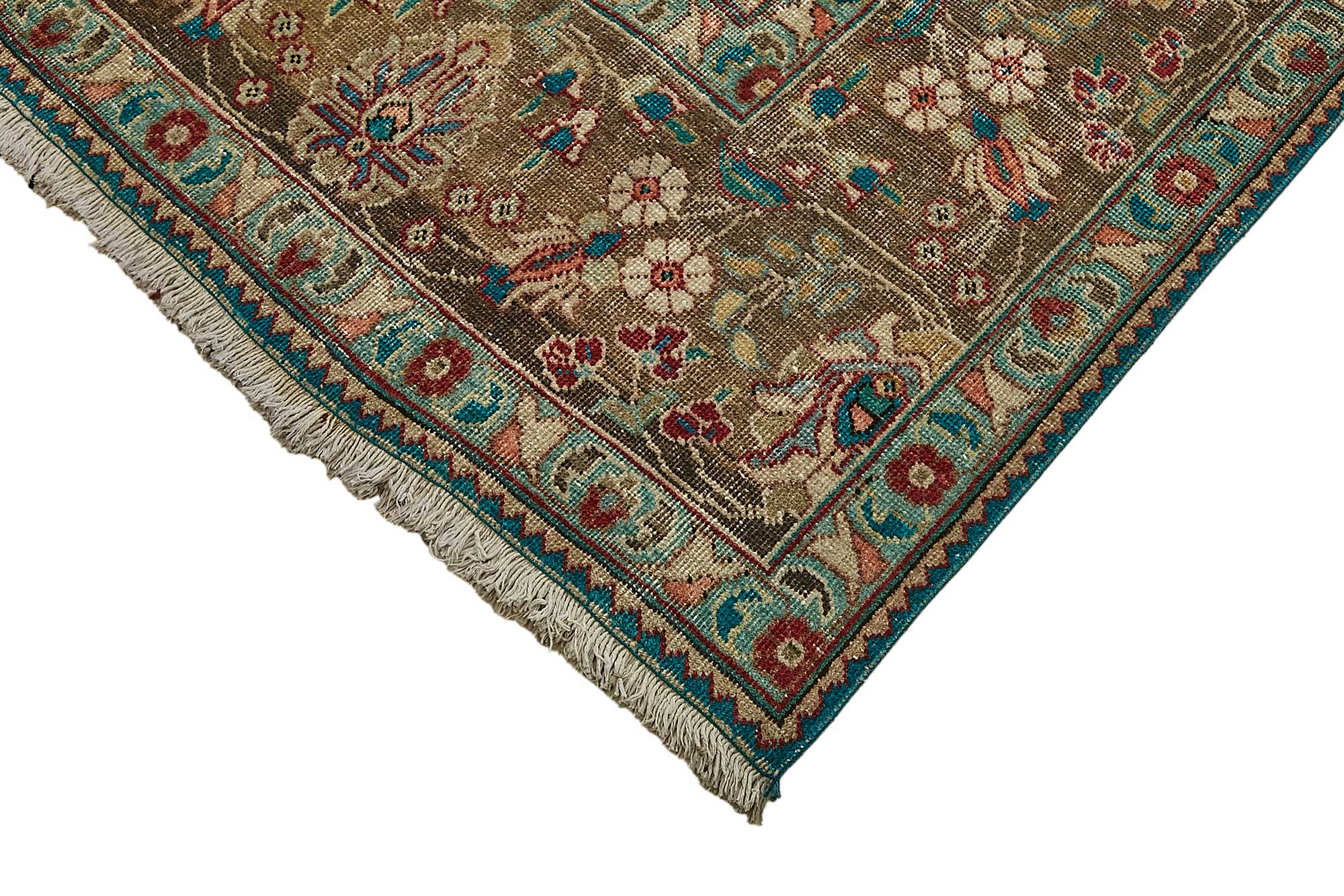 Bisque Persian — 2.93 x 3.87