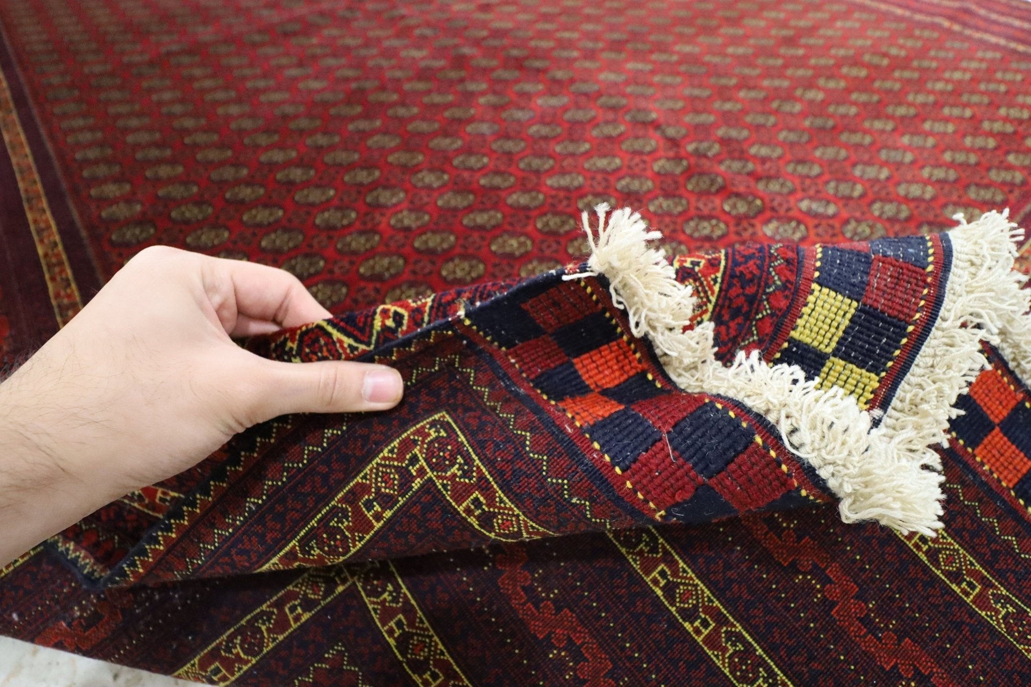 Bokhara - 202 x 291 cm - Jerm Rugs - Jerm | جِرْم