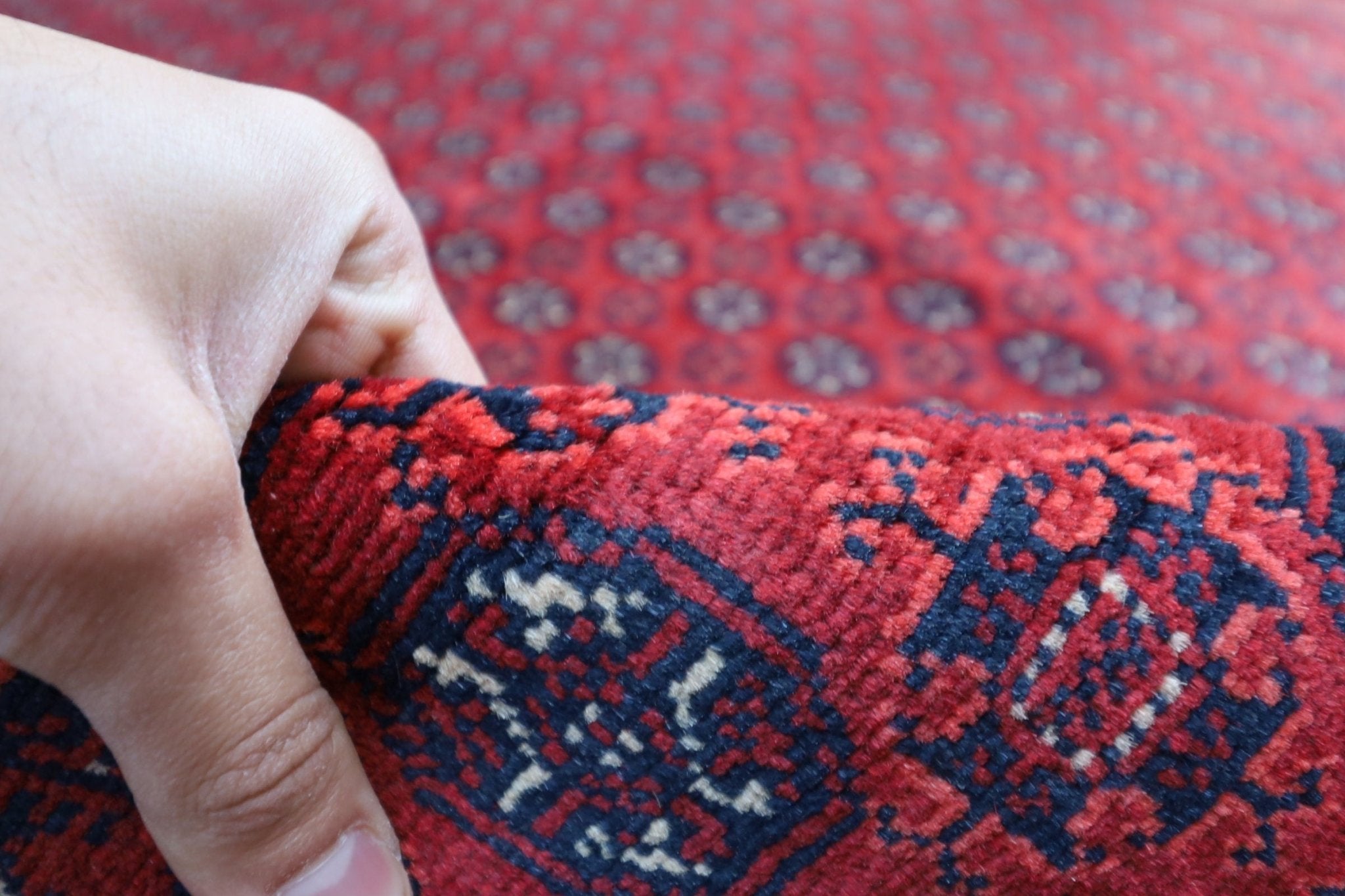 Bokhara - 205x298 cm - Jerm Rugs - Jerm | جِرْم