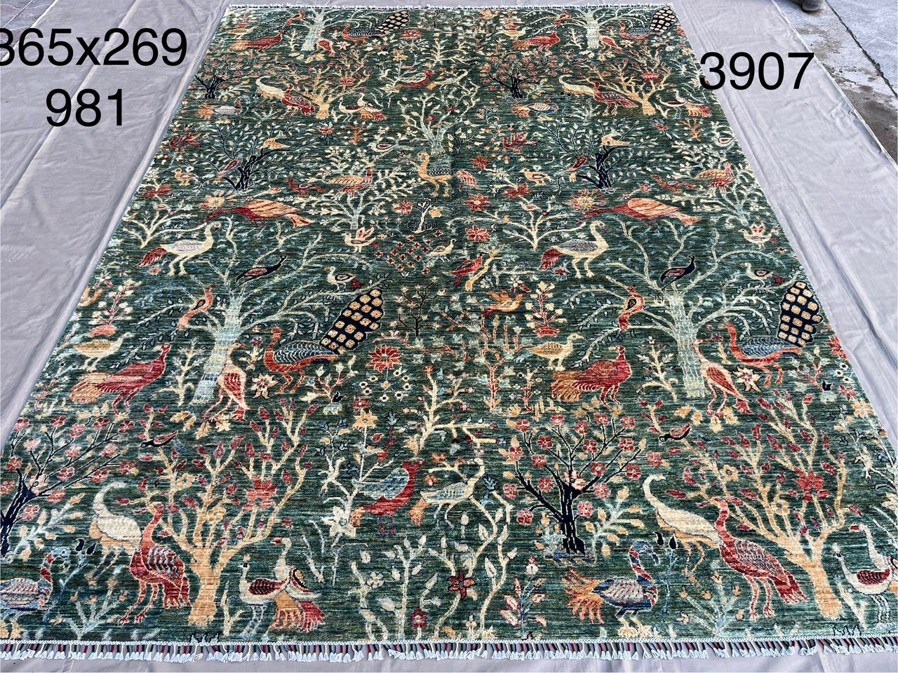 Afghan Rug 007 - 269x365 cm