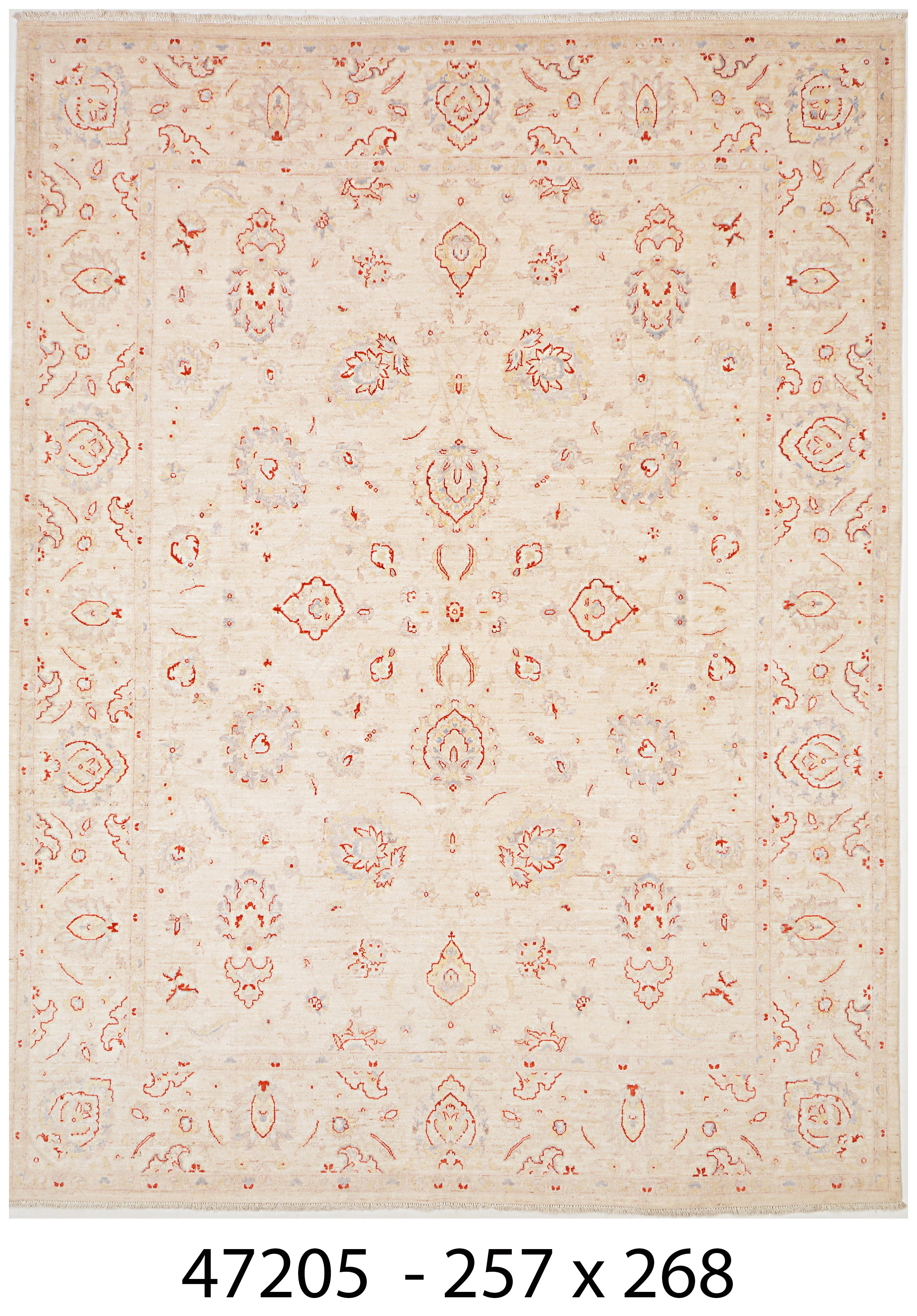 Nur-e-Ghazni Afghan hand-knotted Ghazni wool rug, overhead view