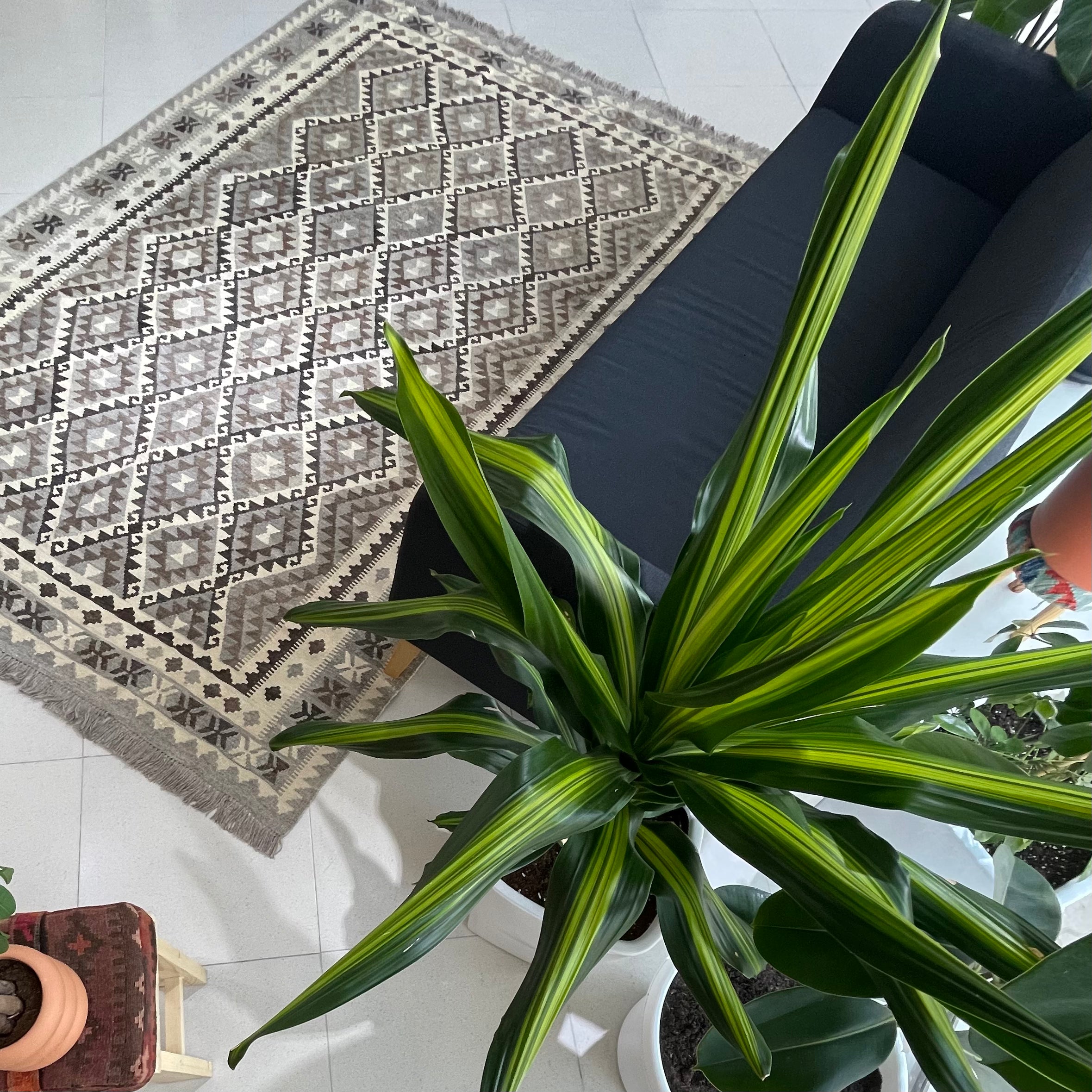 Faryab 4706 - 298x197 cm Jerm | جِرْم