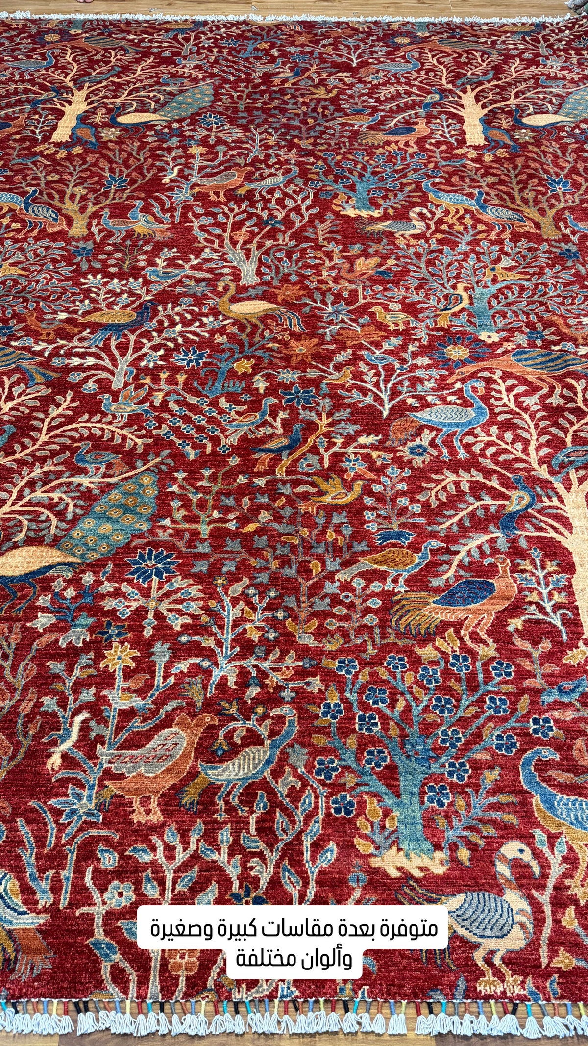 Afghan Ghusoon Rug - 363 x 274 cm
