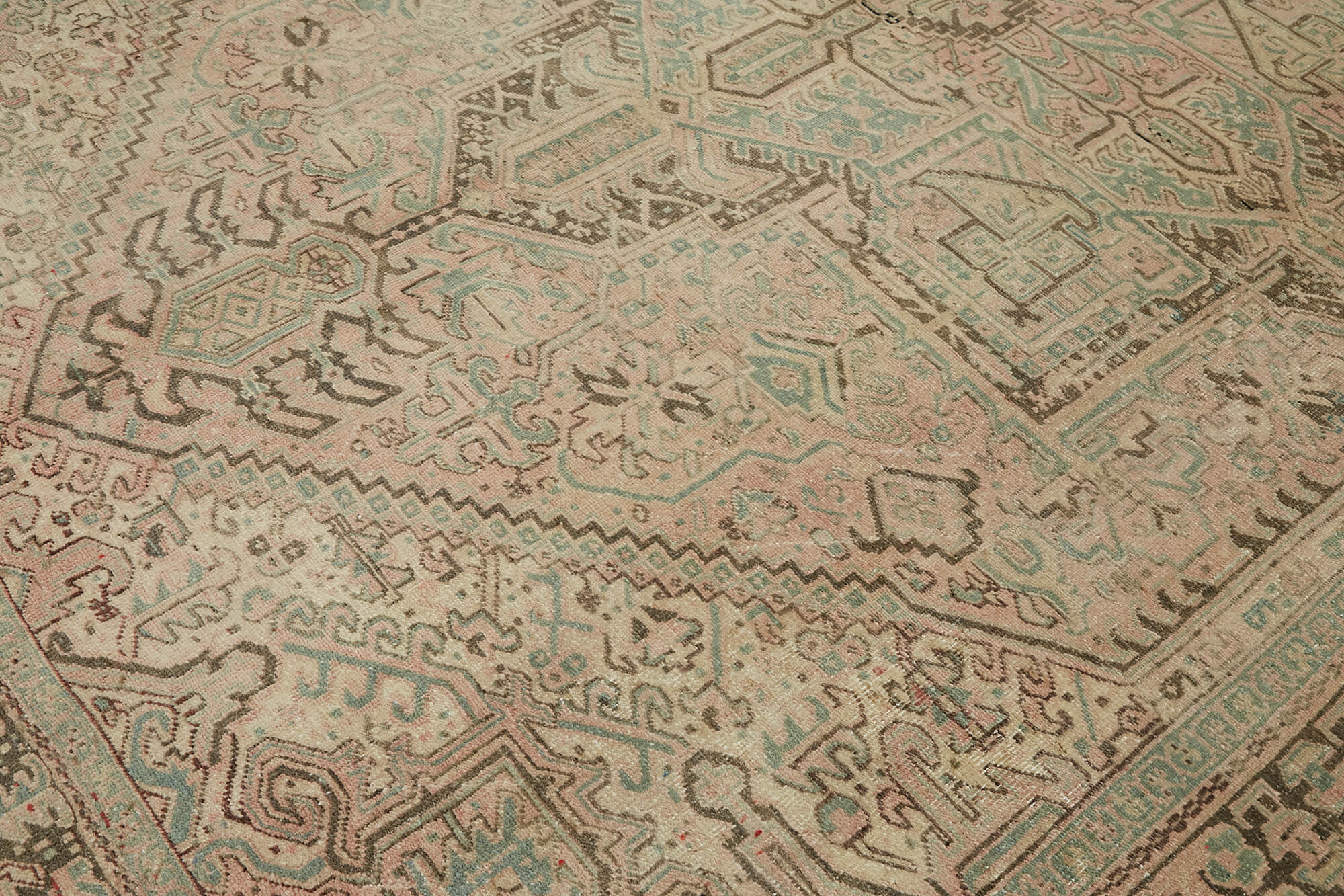 Bisque Persian — 2.57 x 3.38
