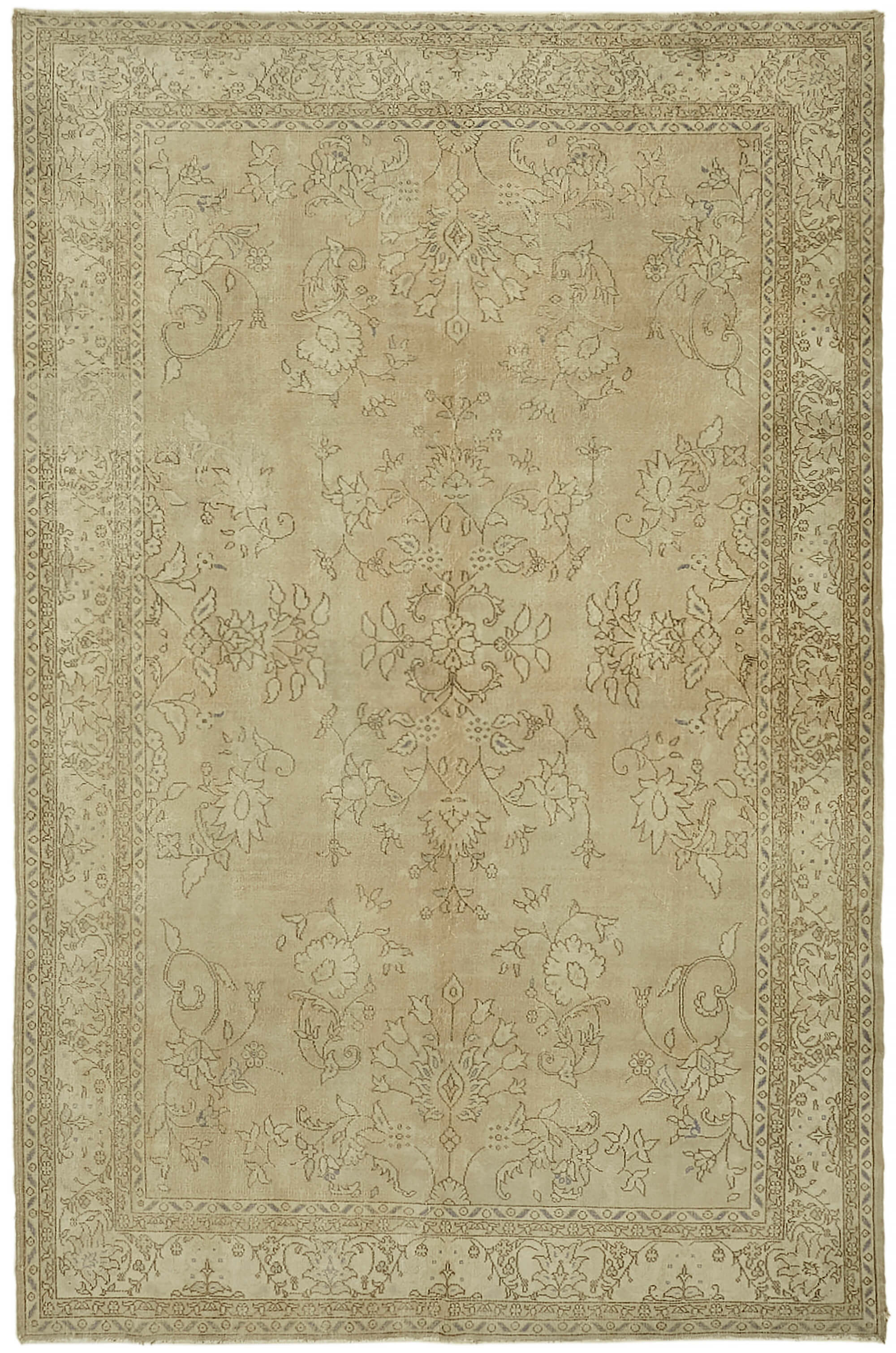 Champagne Persian — 2.50 x 3.76