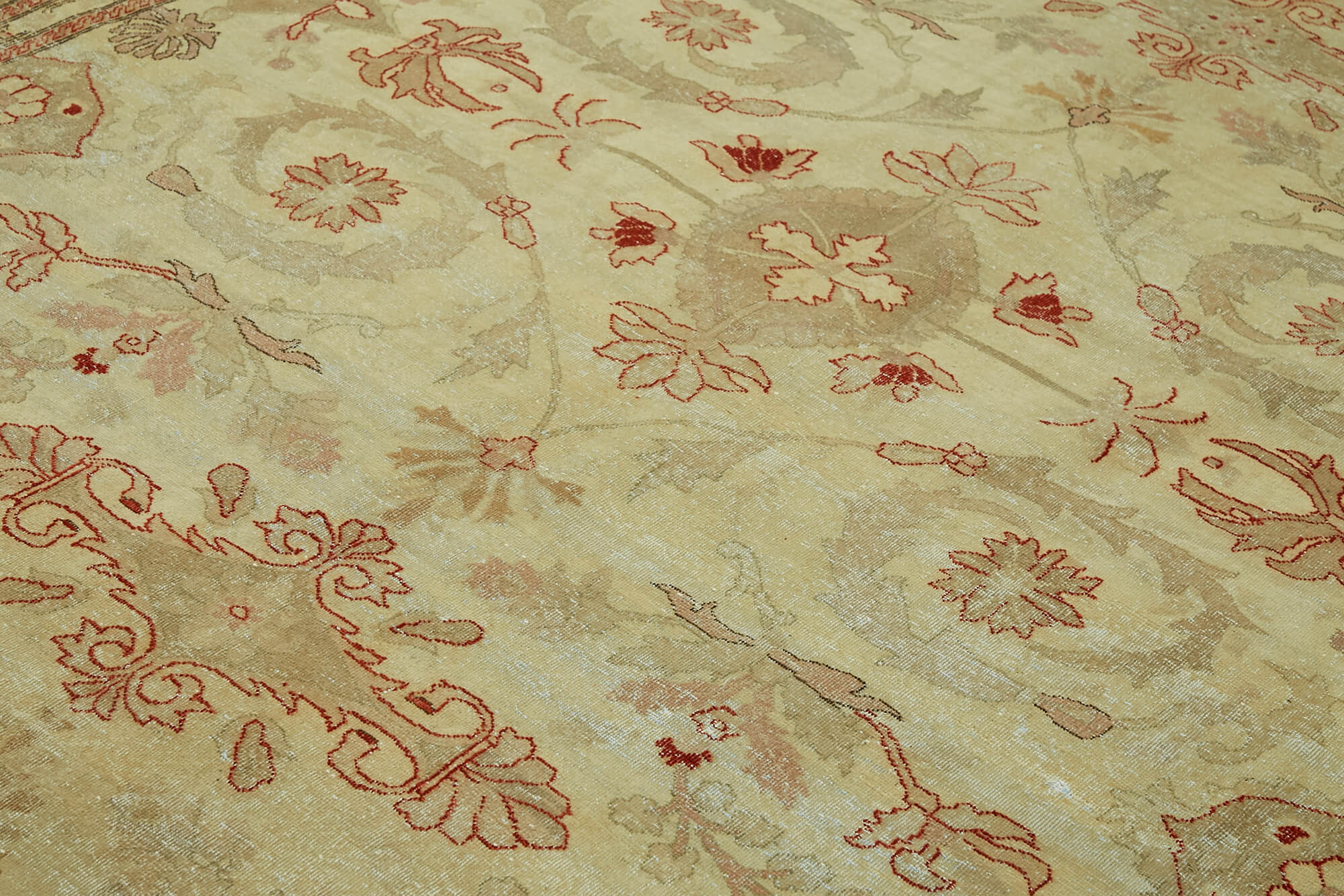 Wheat Persian — 2.63 x 3.61