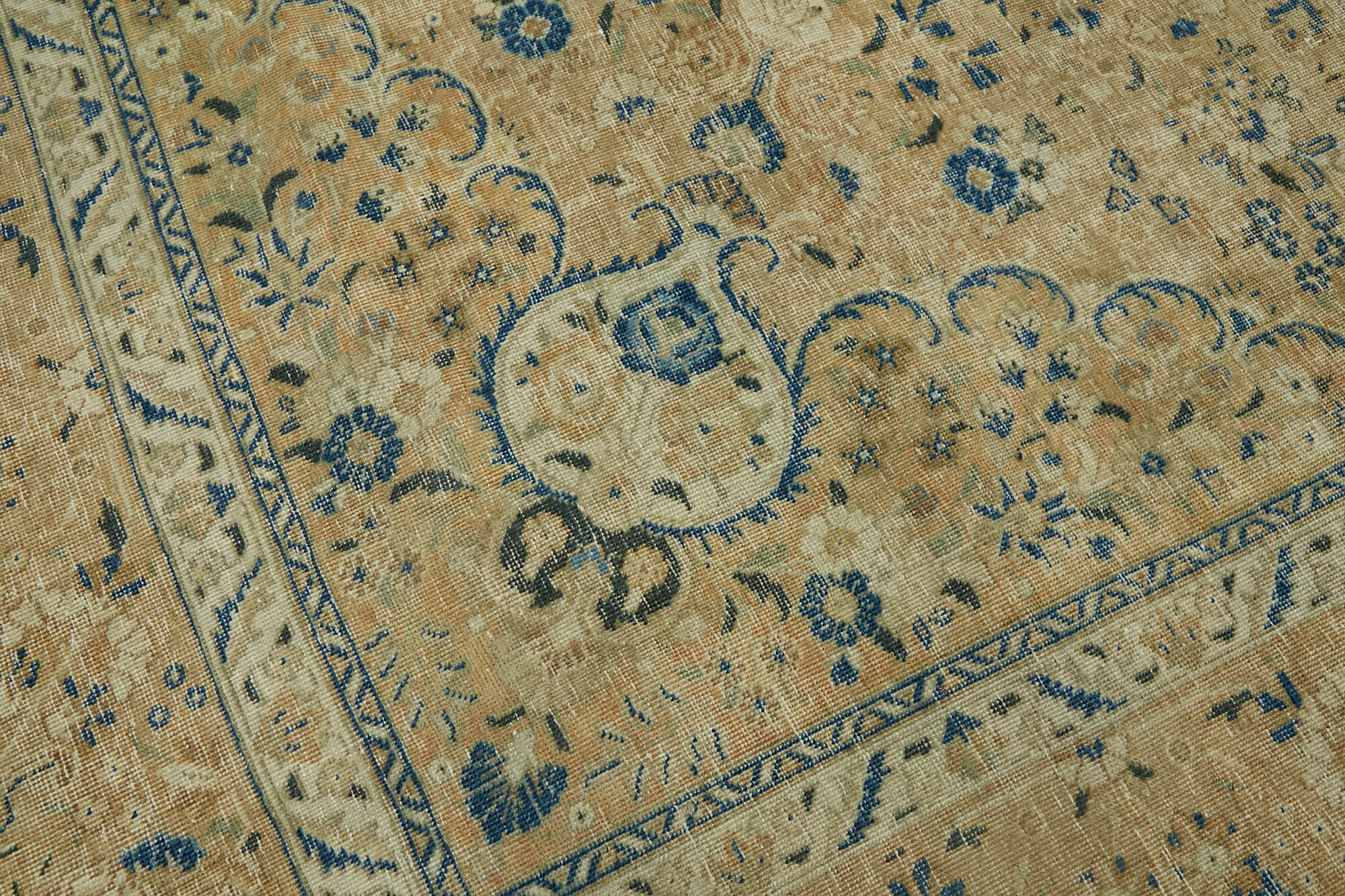 Champagne Persian — 2.55 x 3.68