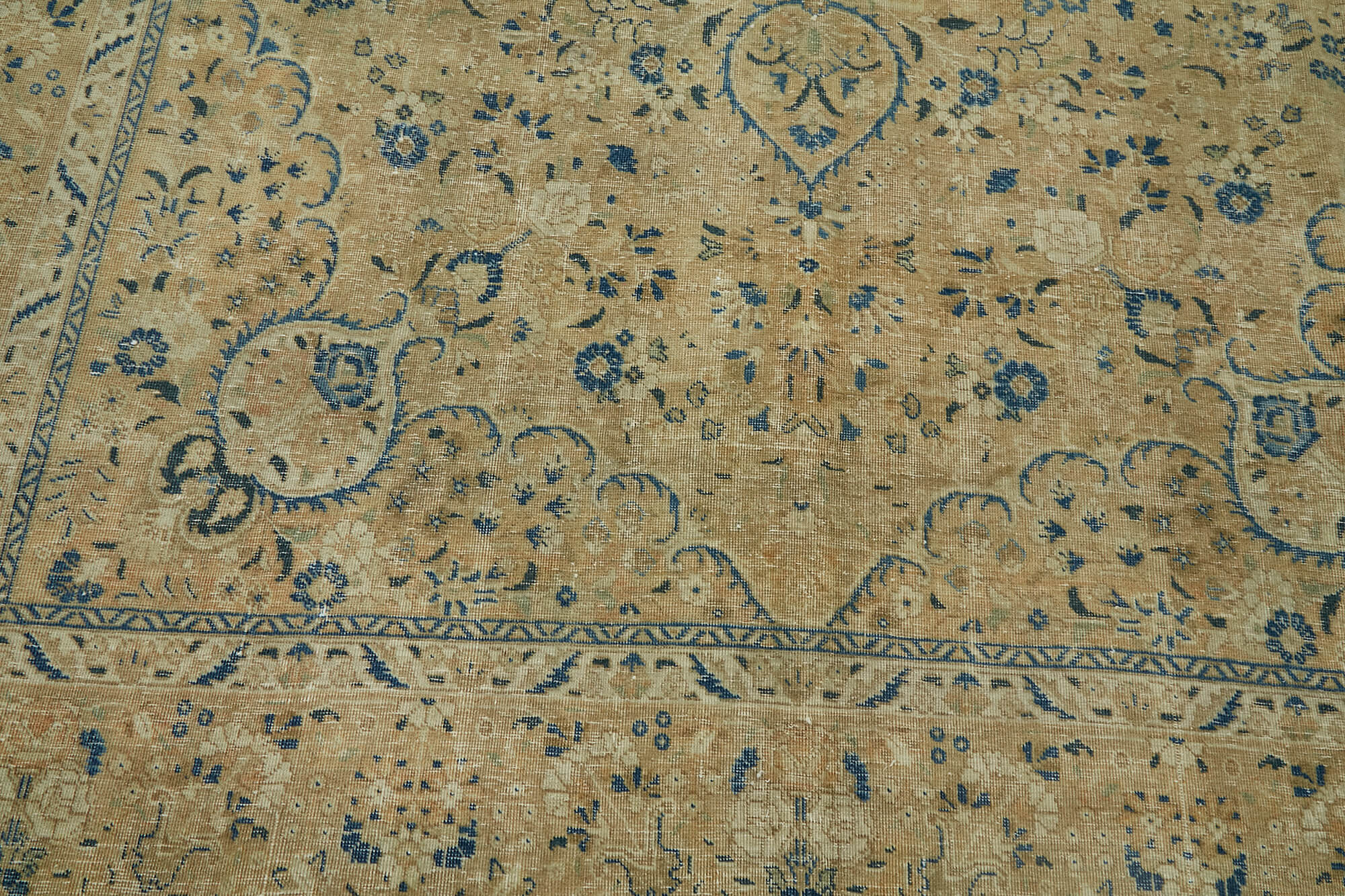 Champagne Persian — 2.55 x 3.68