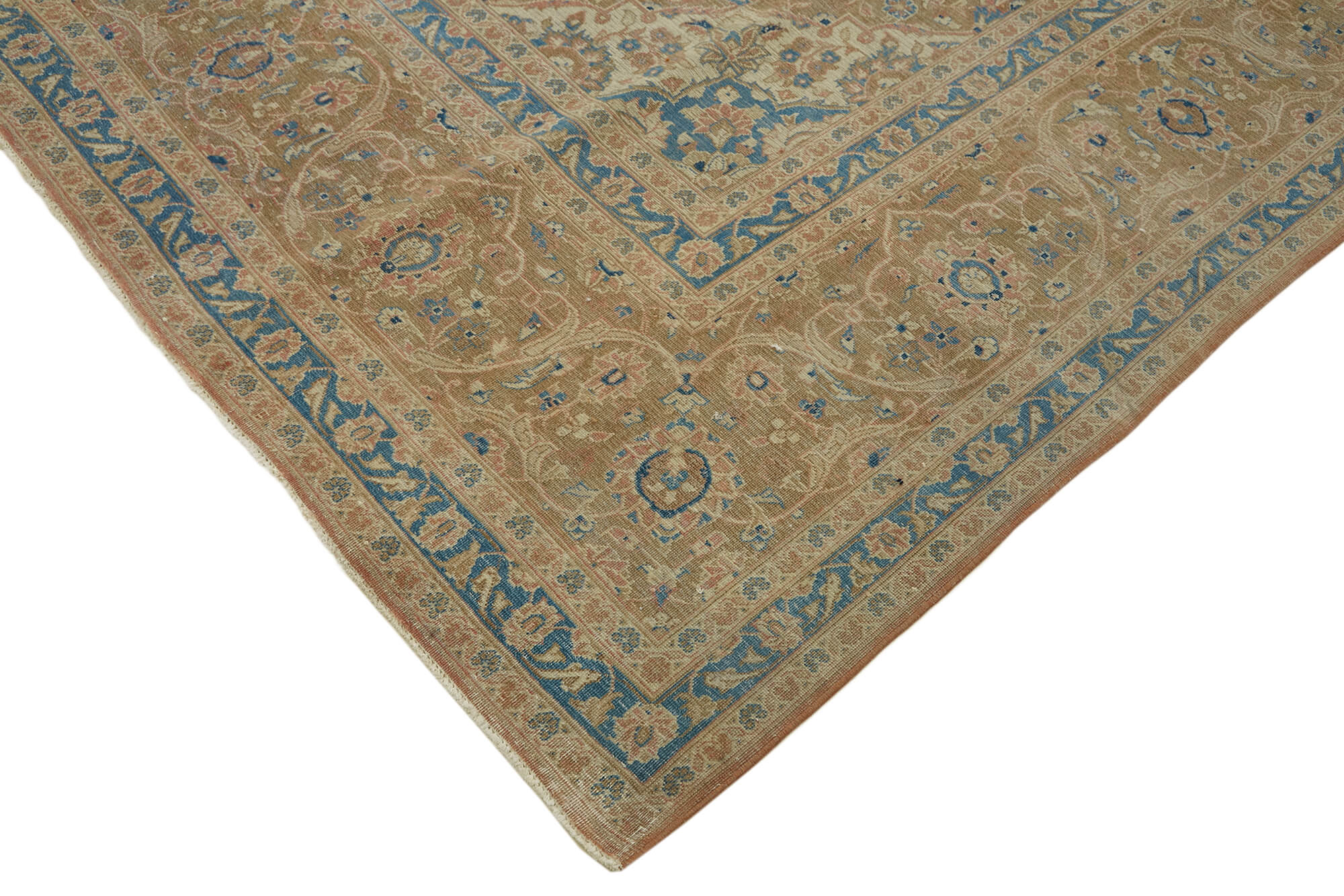 Bisque Persian — 3.04 x 4.91