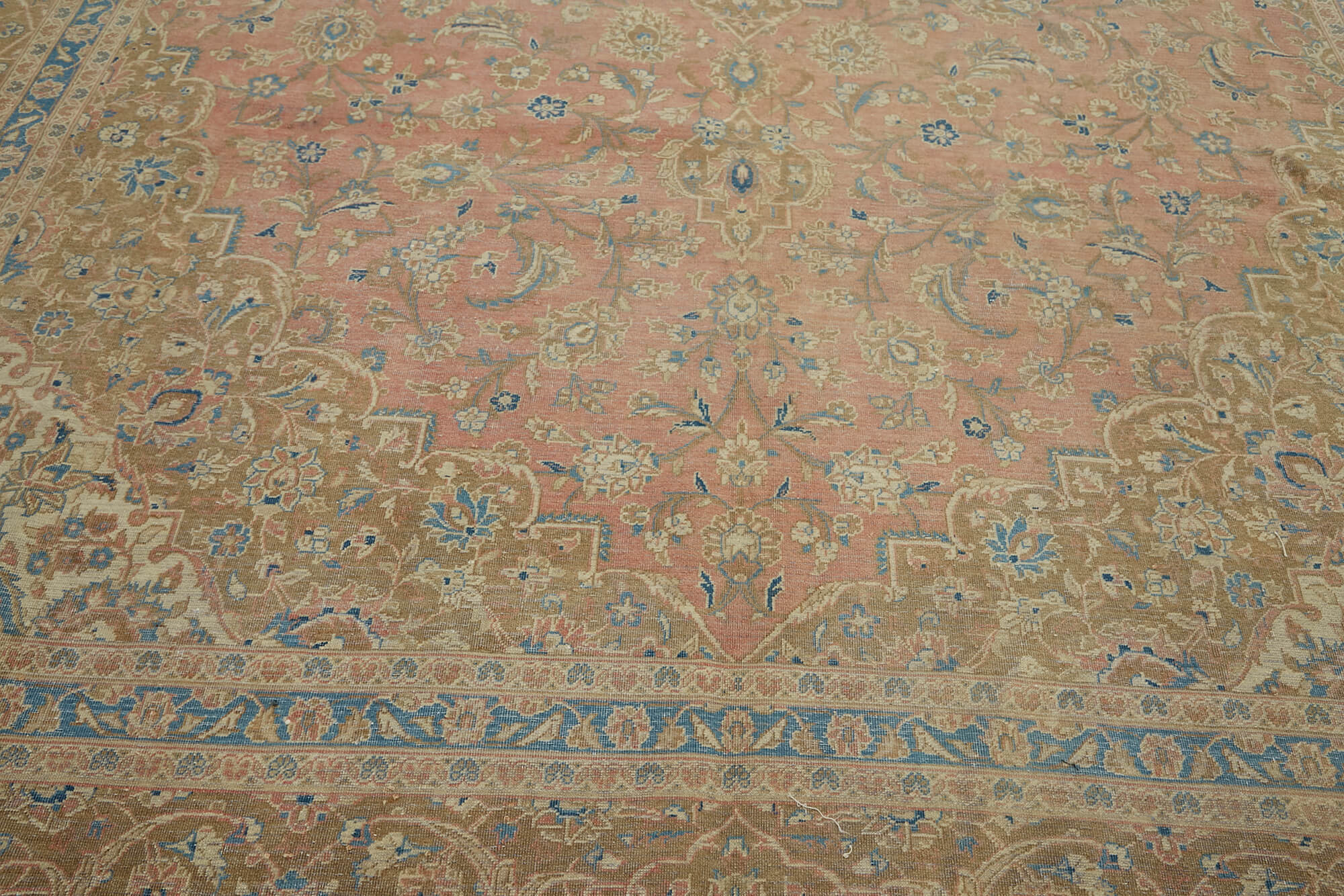 Bisque Persian — 3.04 x 4.91