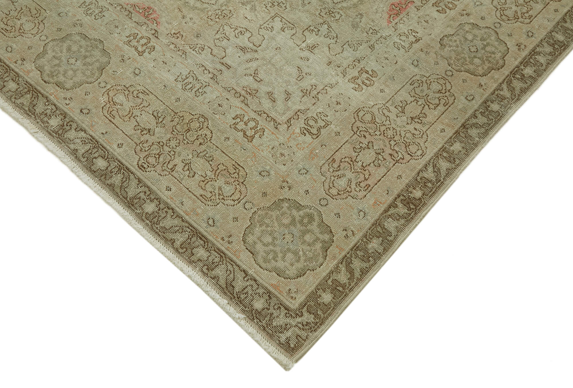 Champagne Persian — 2.45 x 3.35