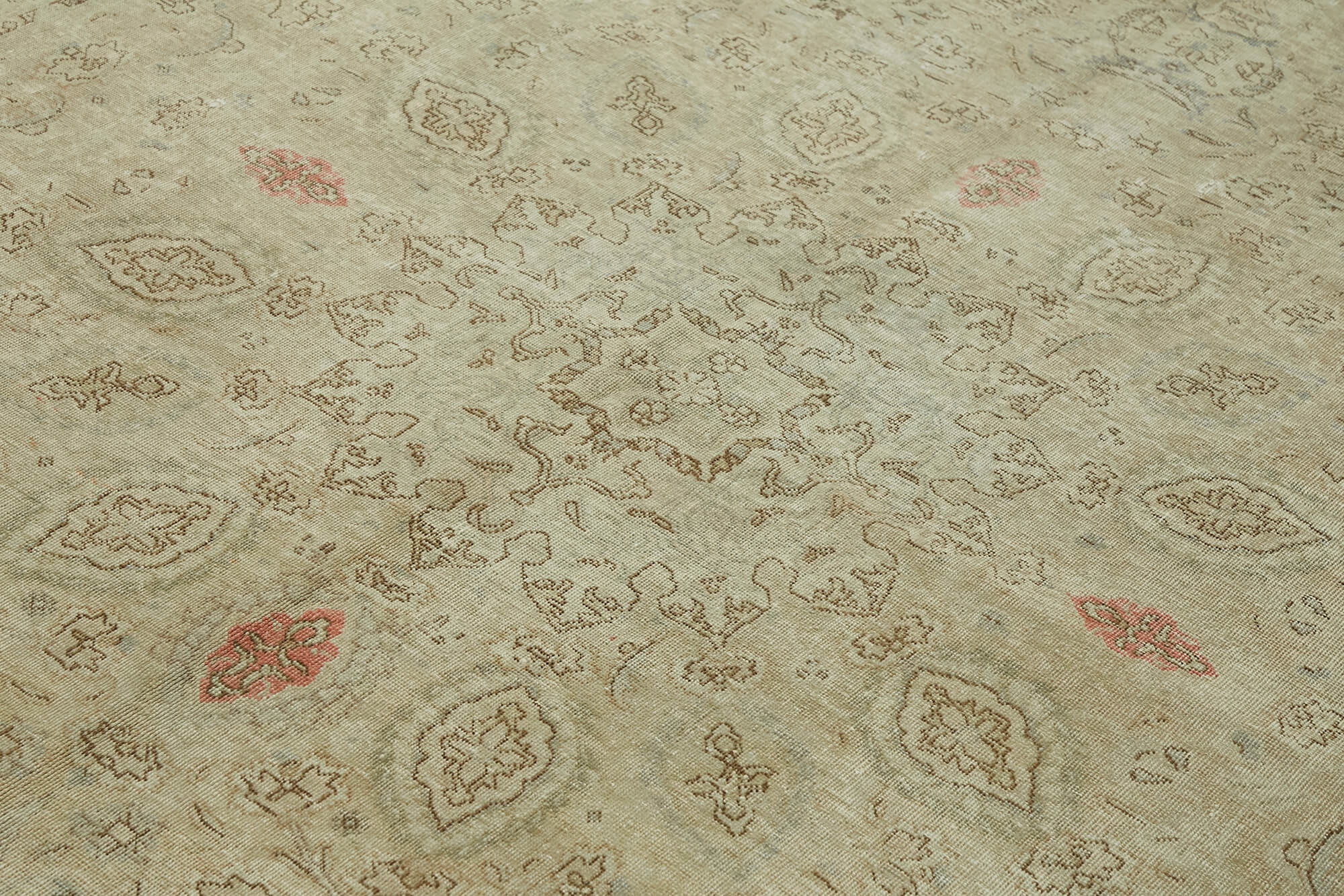Champagne Persian — 2.45 x 3.35