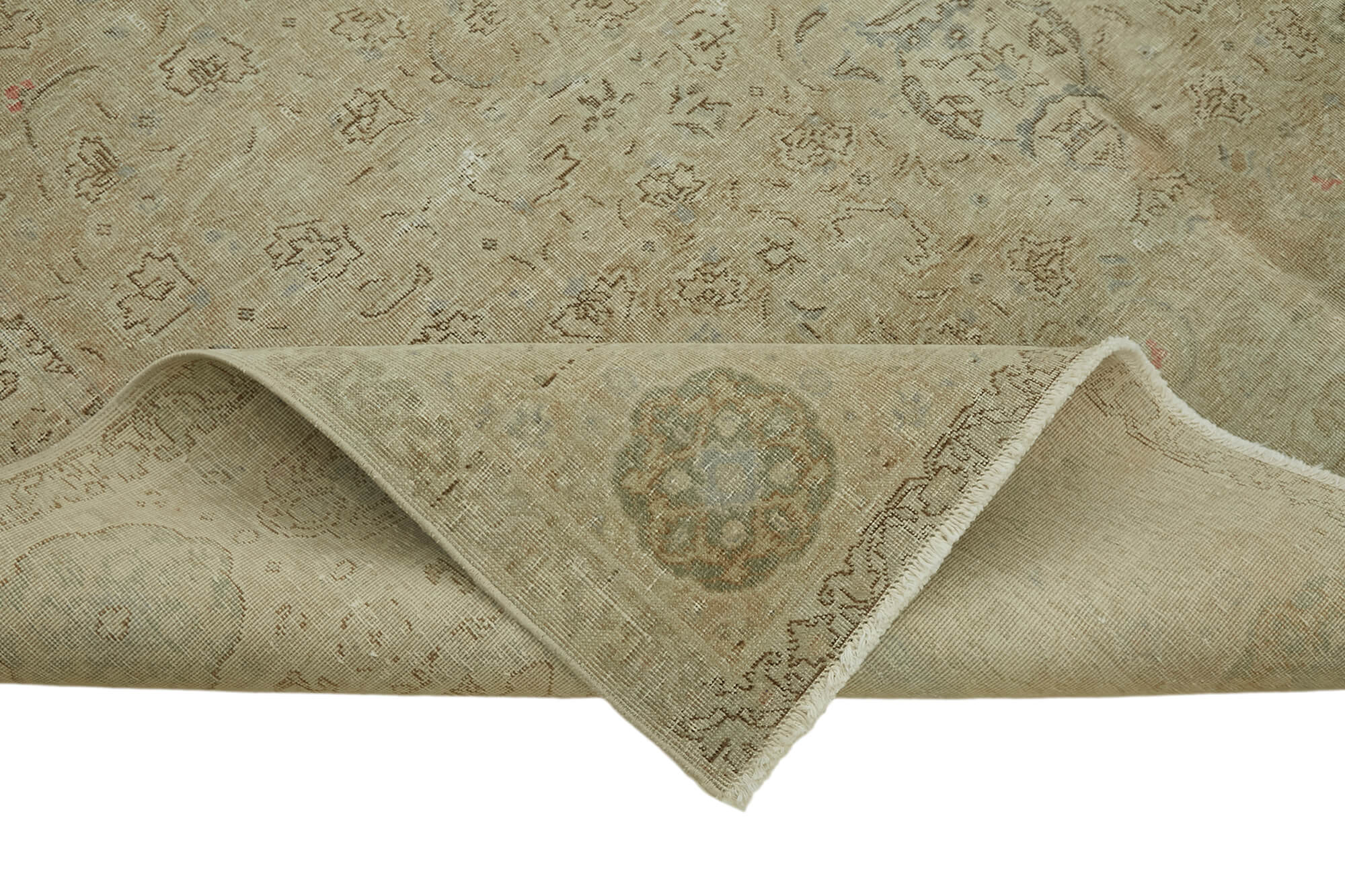 Champagne Persian — 2.45 x 3.35