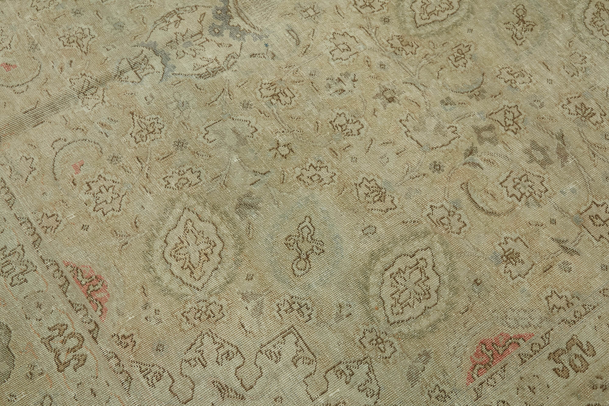 Champagne Persian — 2.45 x 3.35