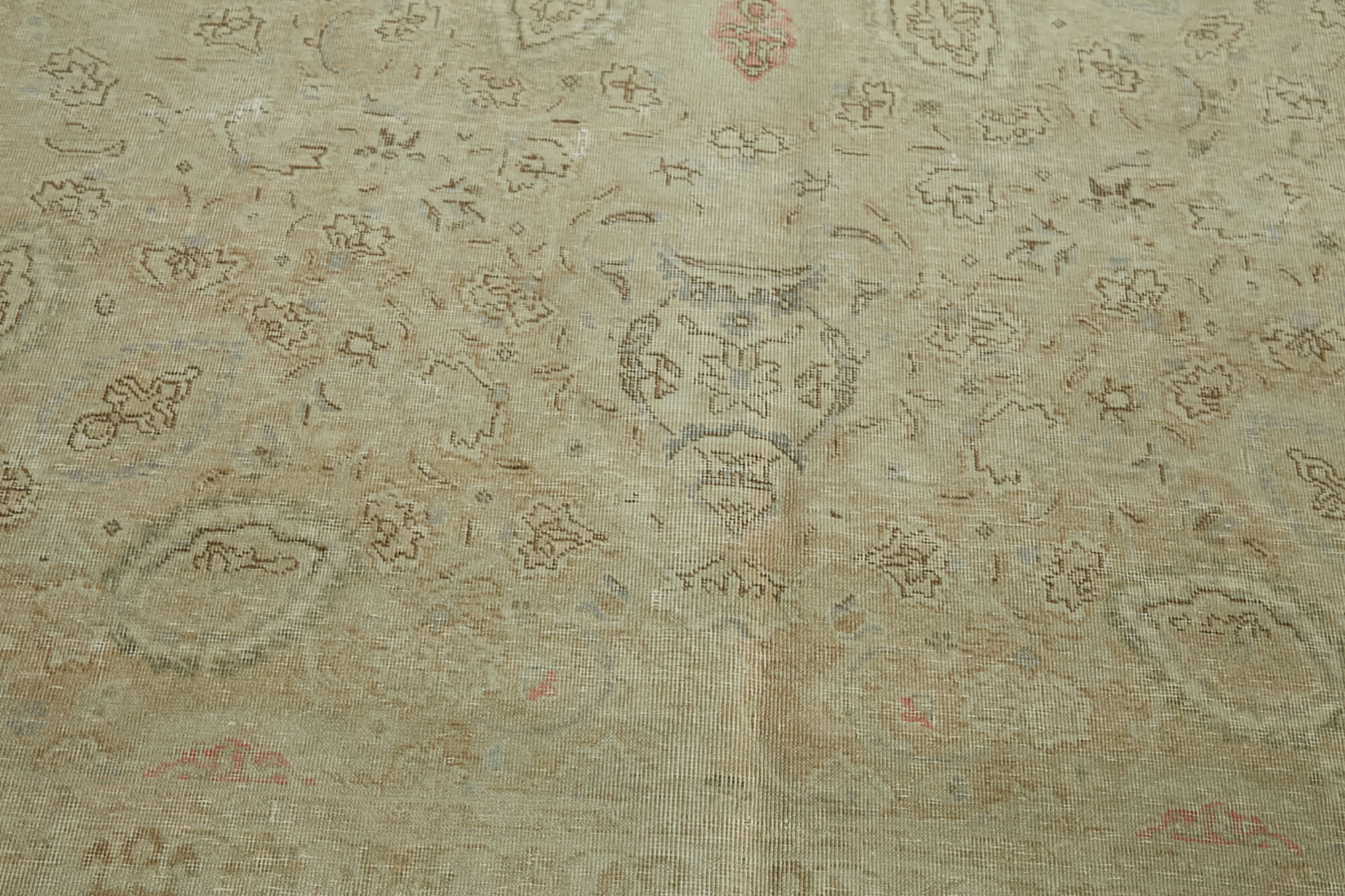 Champagne Persian — 2.45 x 3.35