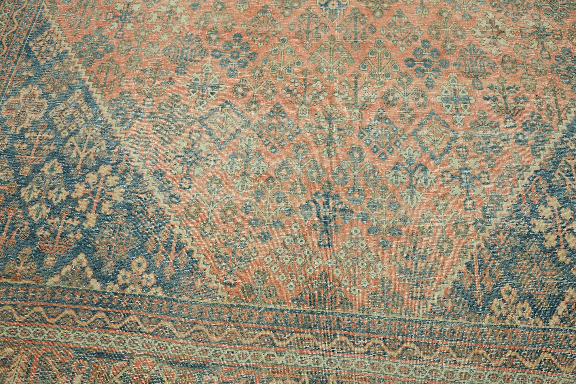 Ivory Persian — 2.63 x 3.81