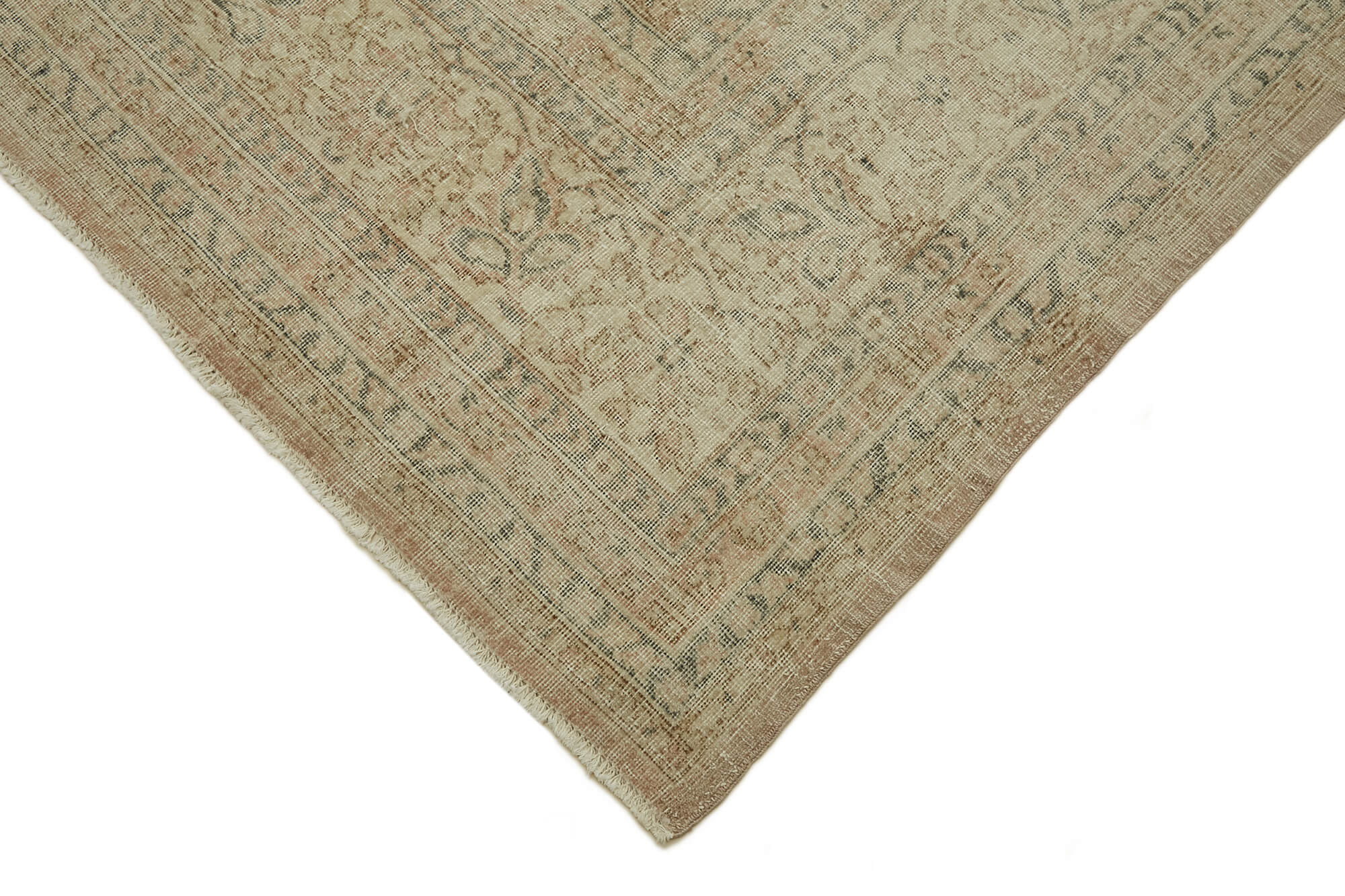 Champagne Persian — 3.01 x 3.93