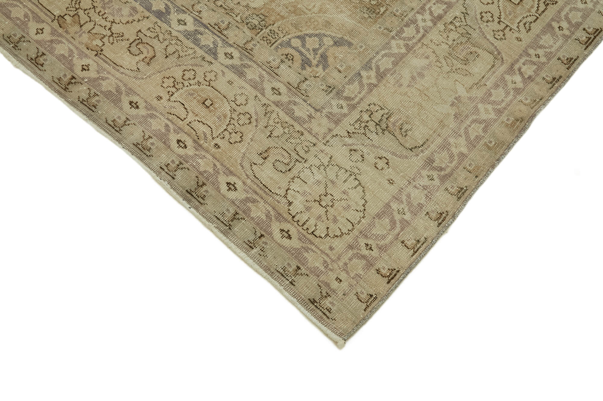 Parchment Persian — 2.47 x 3.38