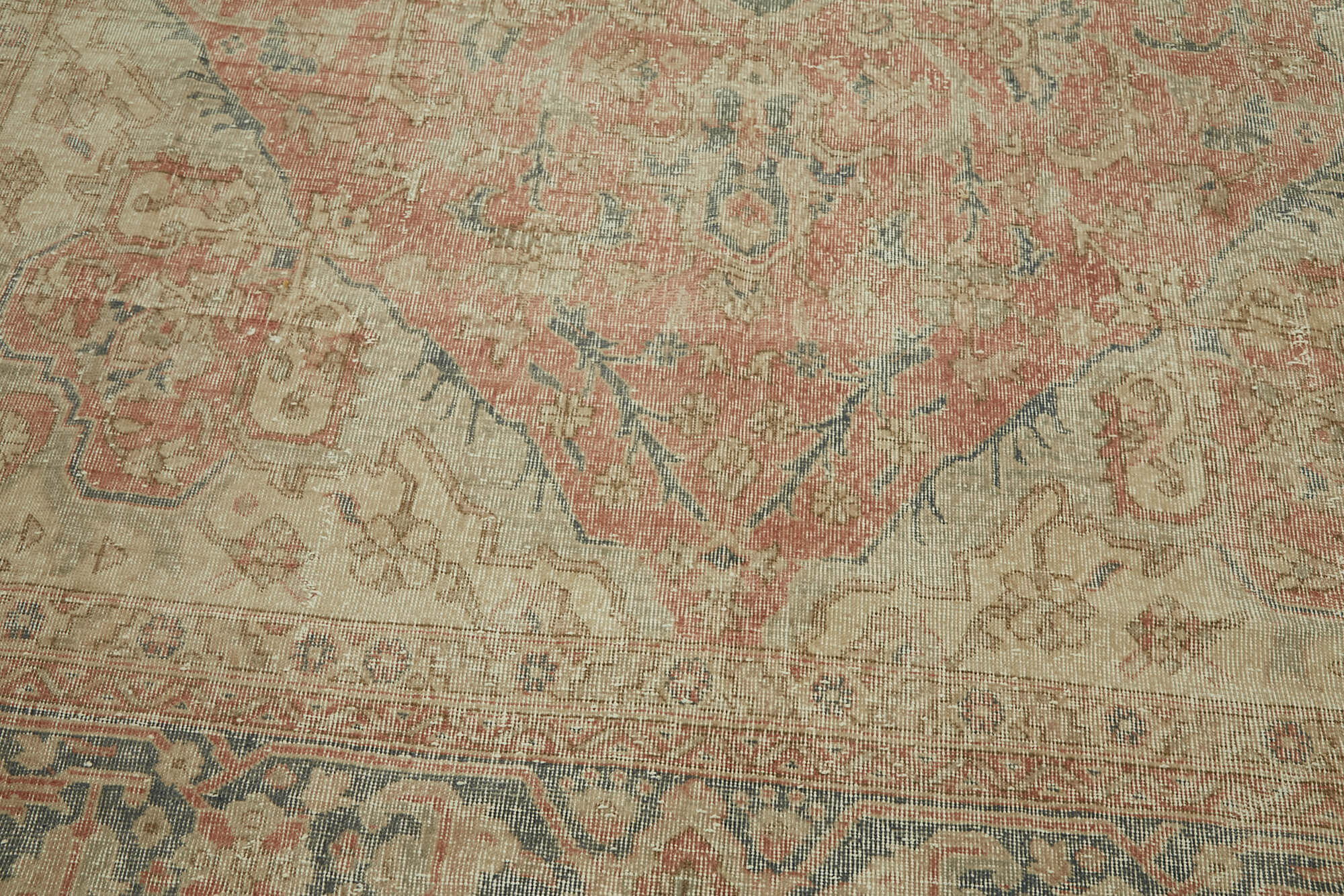 Ivory Persian — 2.67 x 3.90