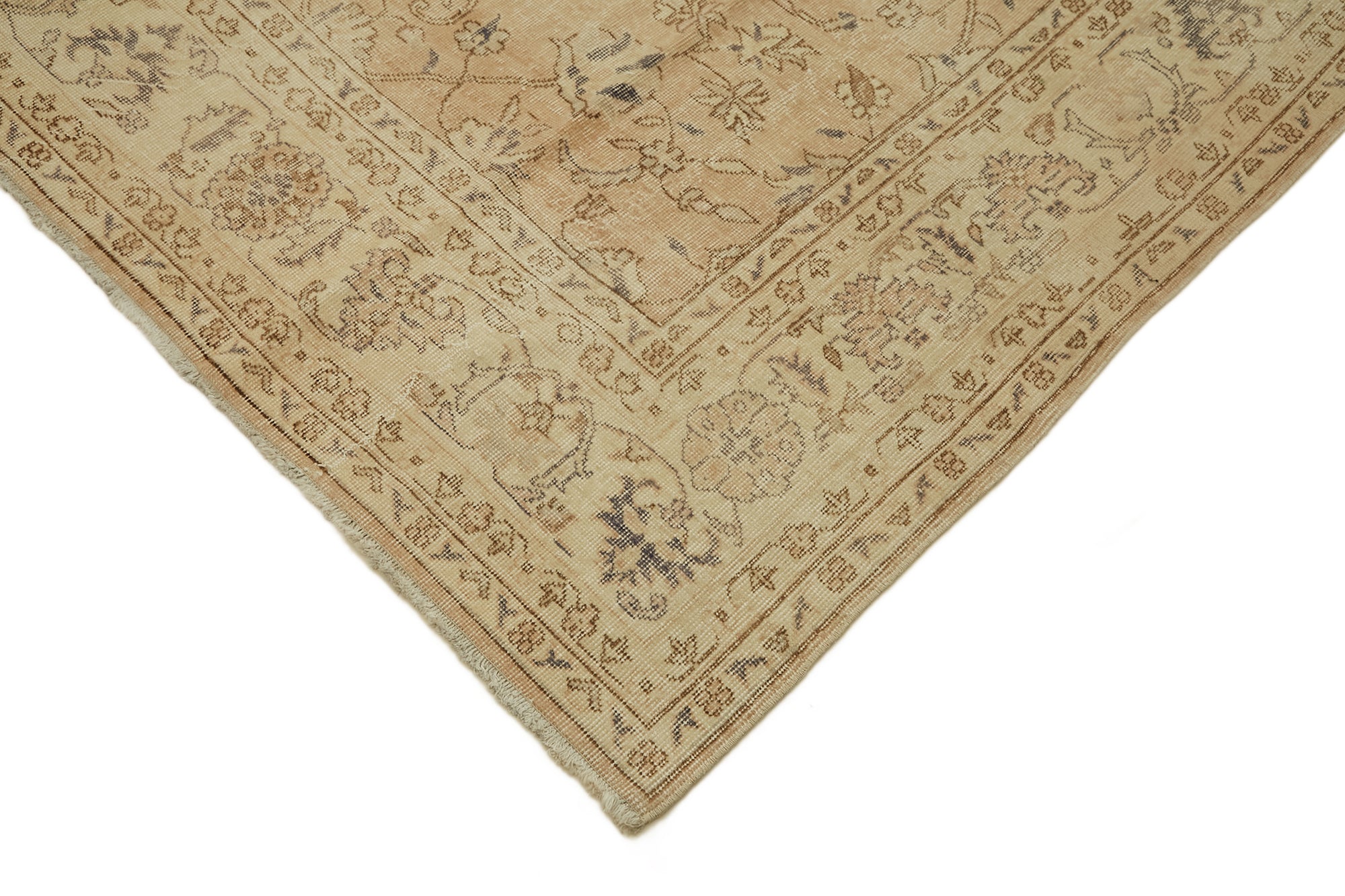 Champagne Persian — 2.41 x 3.32